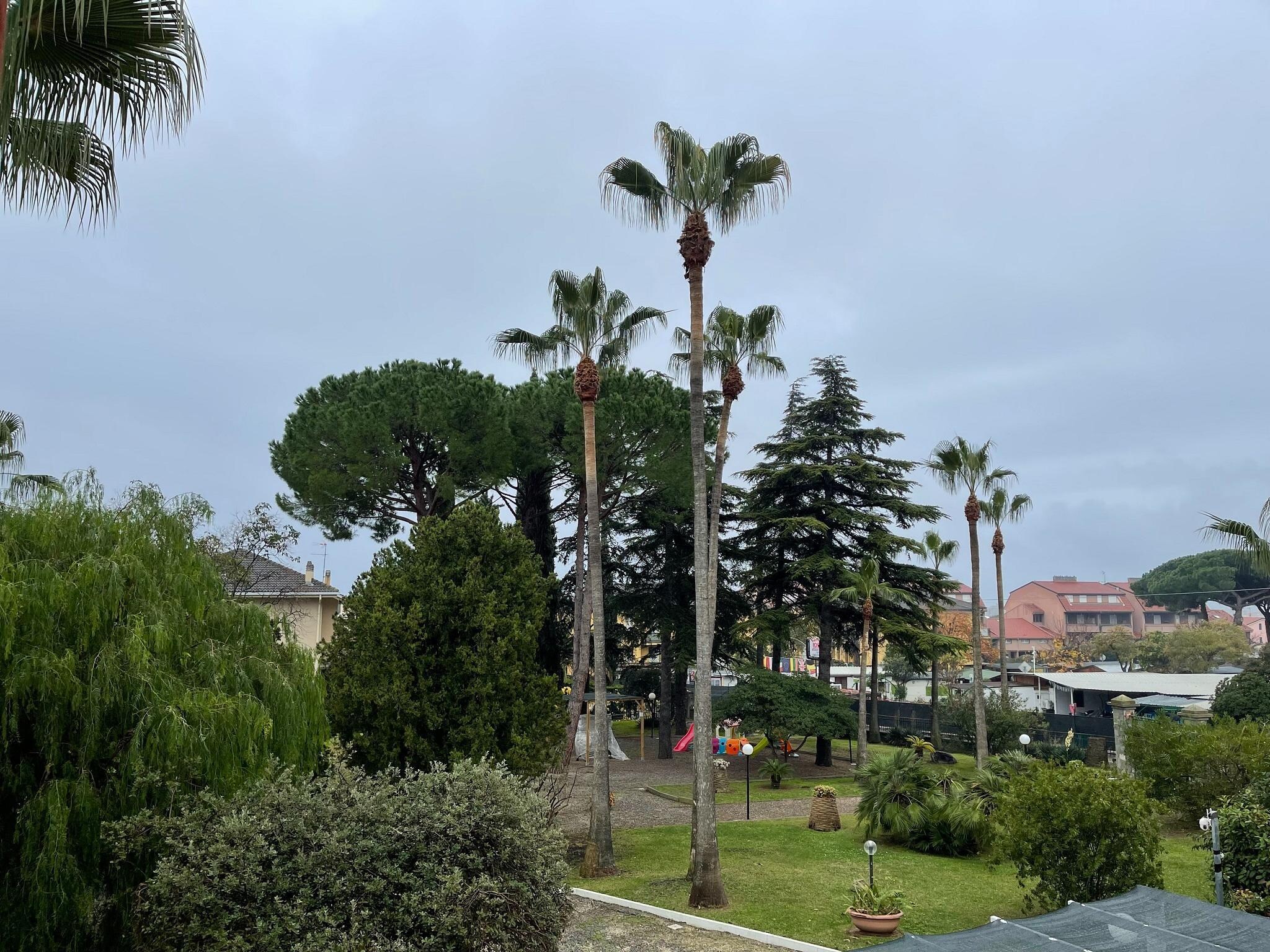 Appartamento Appartamento 1 al piano 1