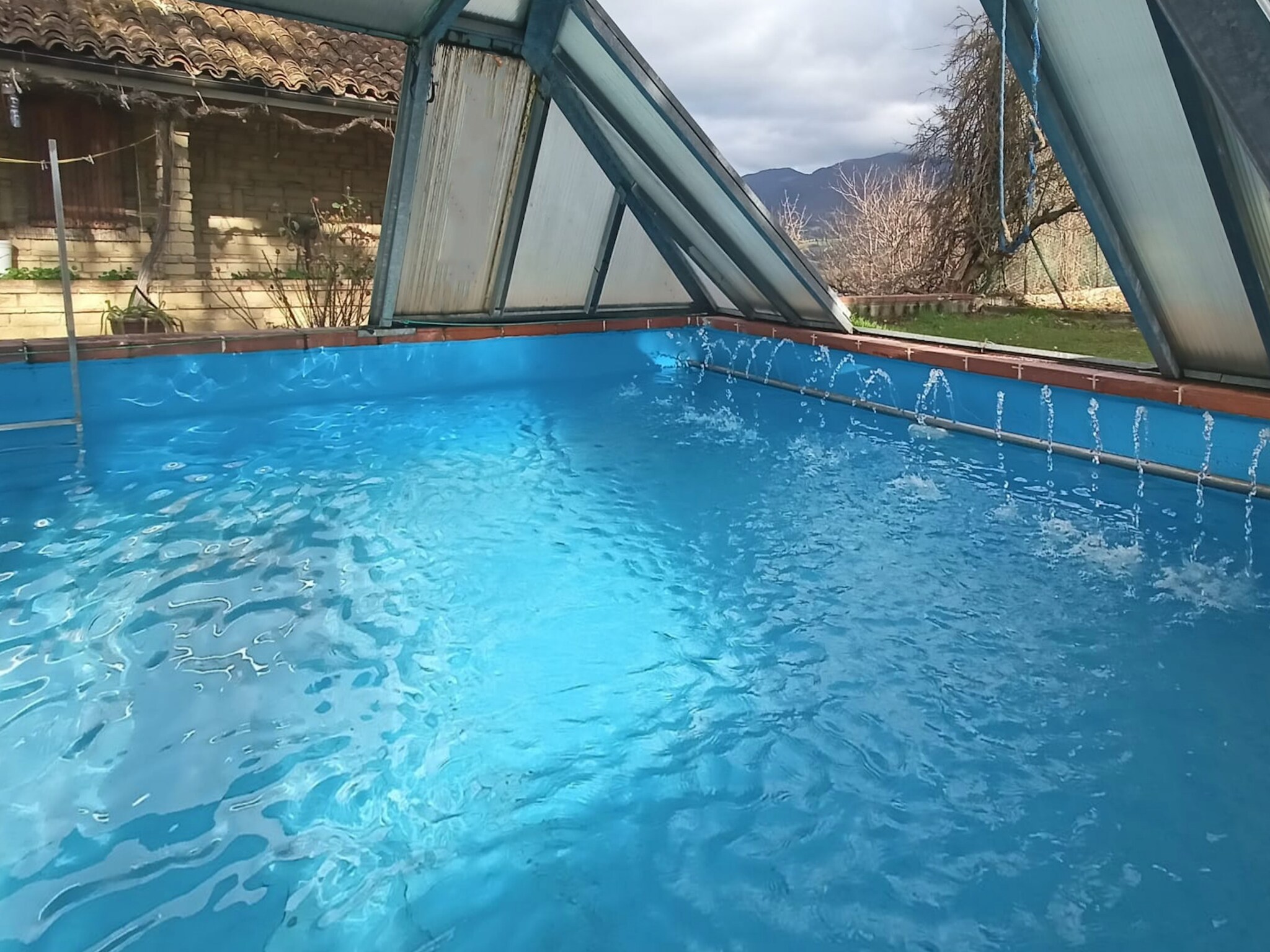   Grappolo d'uva