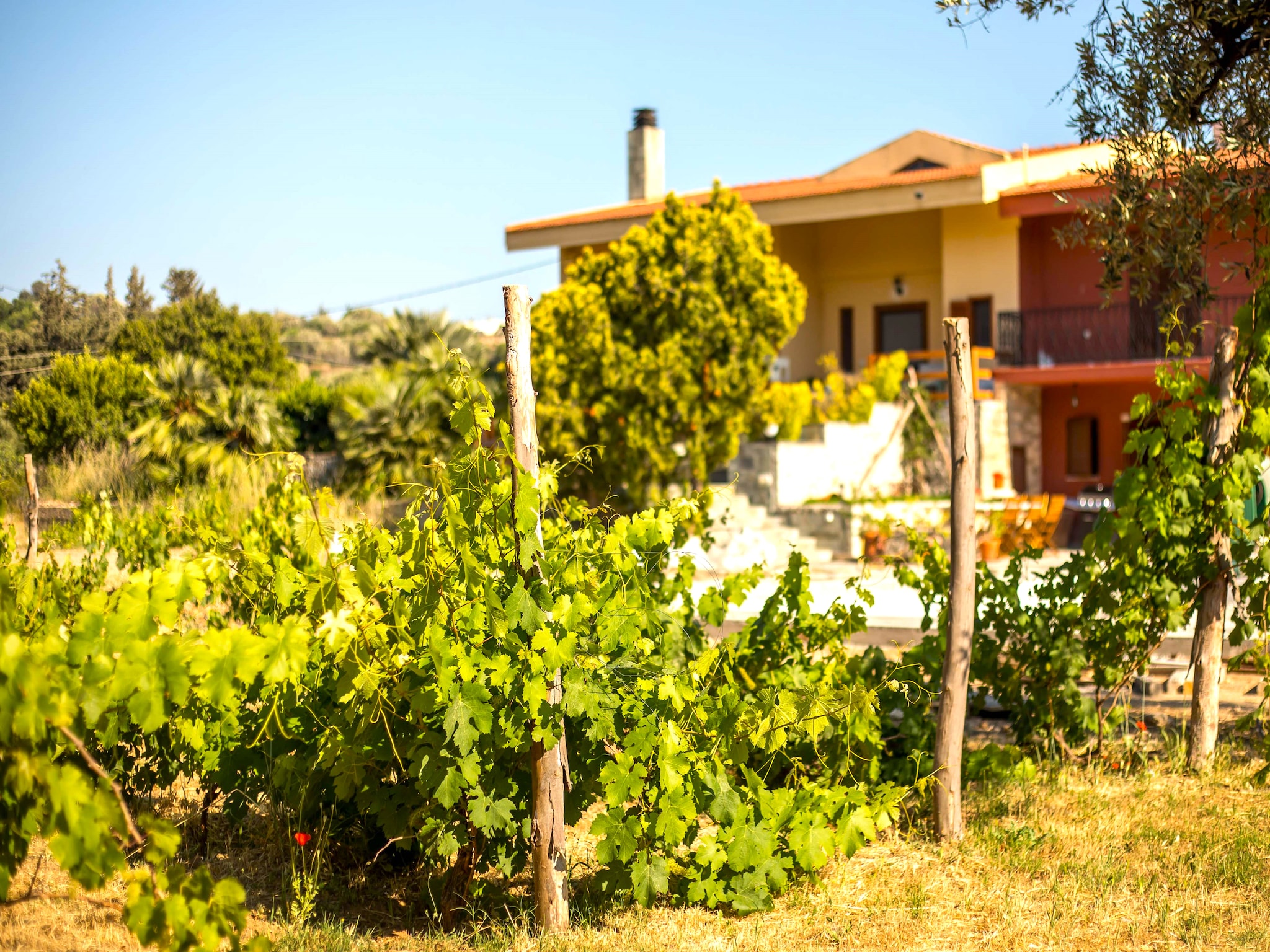   Emarmene Country Home