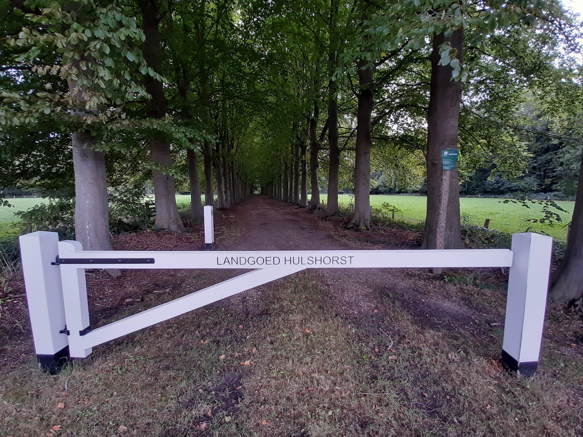   Hulshorsterhout
