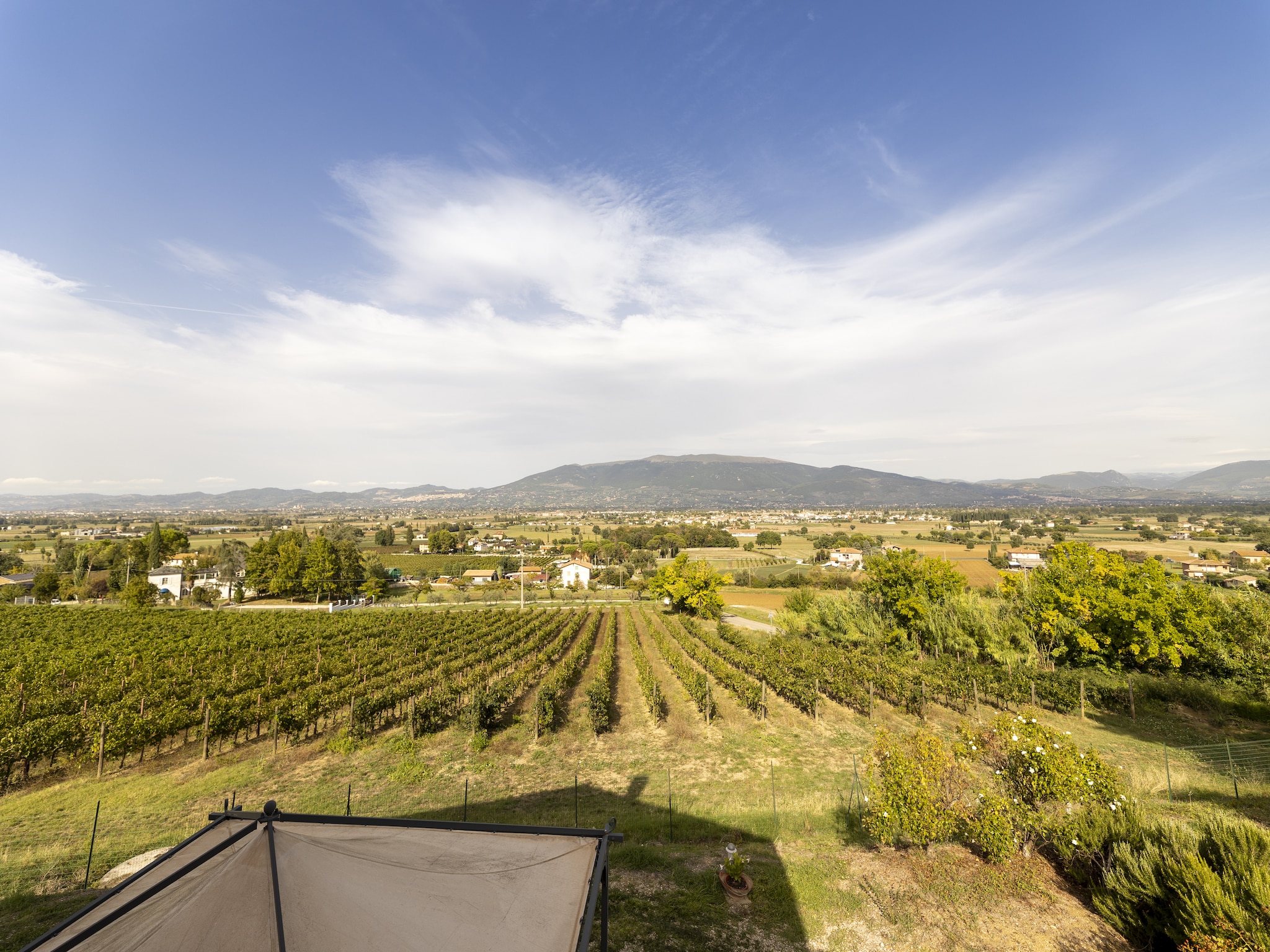 Vakantiehuis Villa Collemancio
