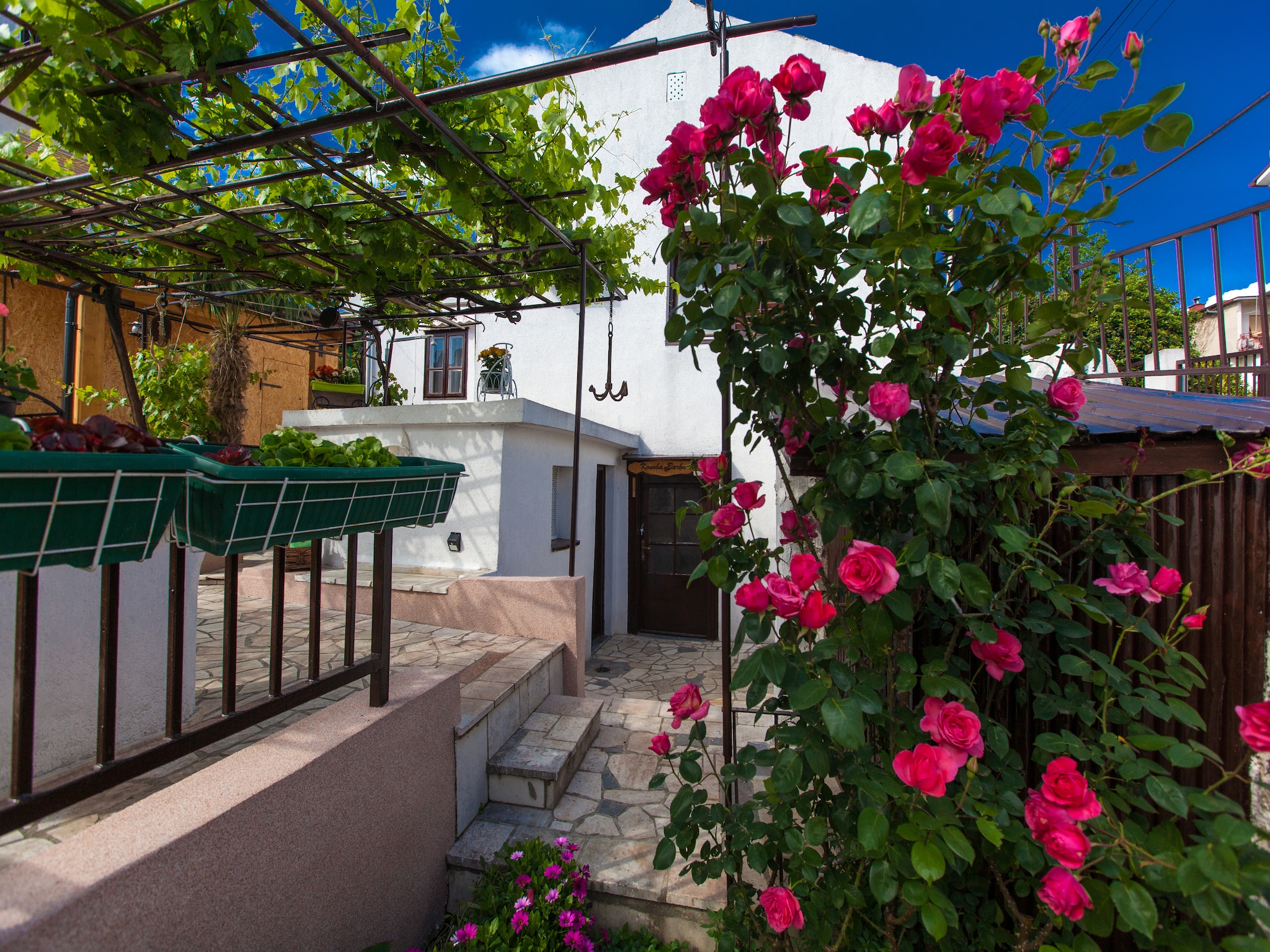   Holiday Home Borna