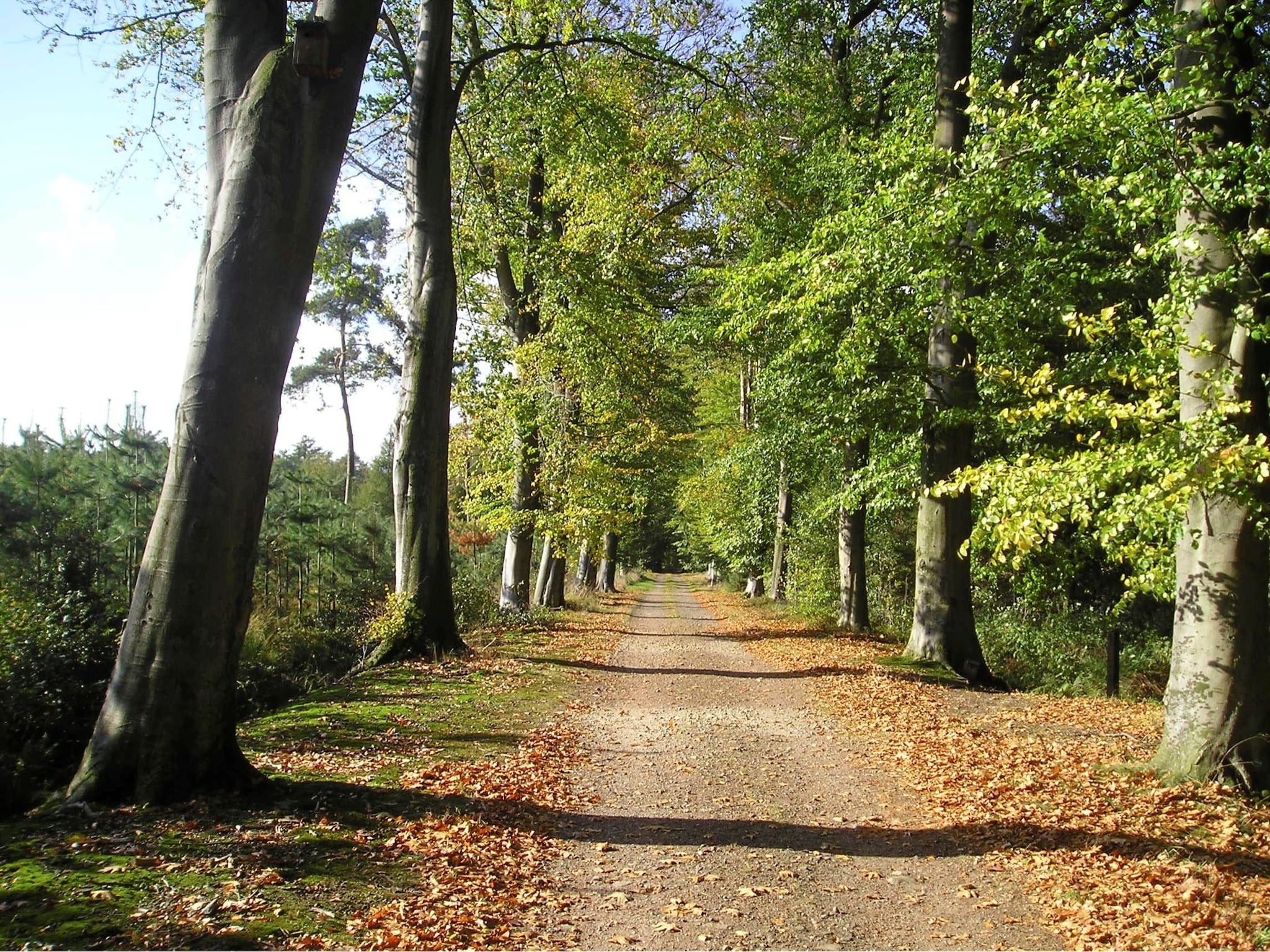   Ferienresort Bad Bentheim 19