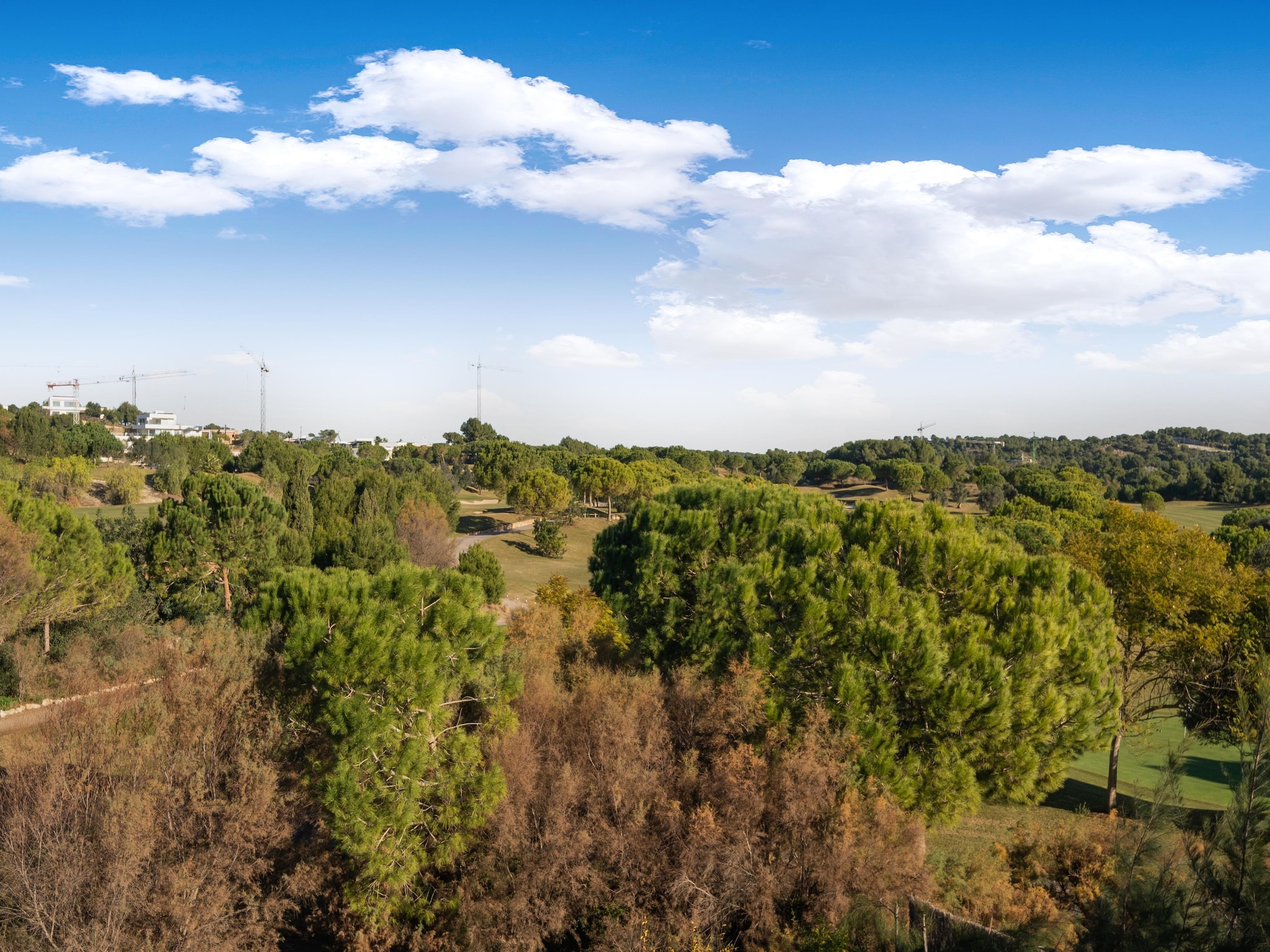 Holiday home Ciruelo - Golf Las Colinas