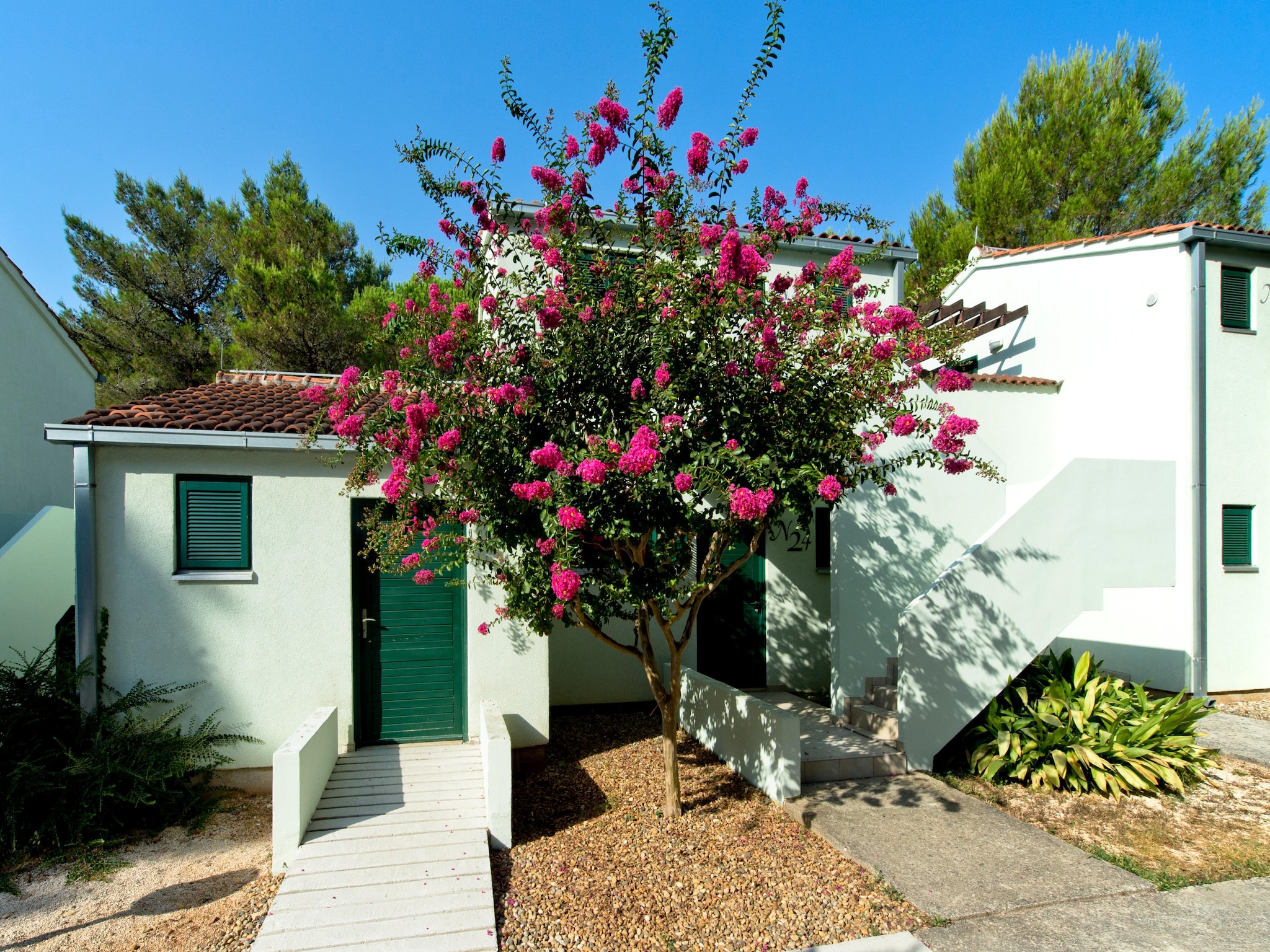 Apartmá Zaton Holiday Resort - Zaton-Nin - Studio  AP/3 -