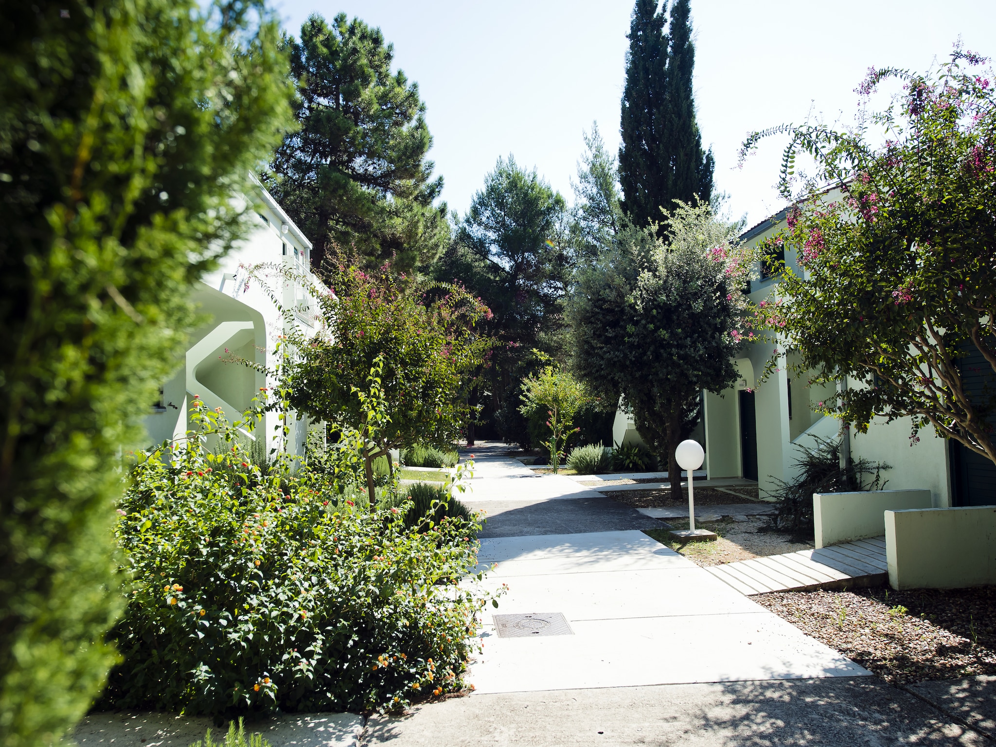 Apartmá Zaton Holiday Resort - Zaton-Nin - Studio  AP/3 -