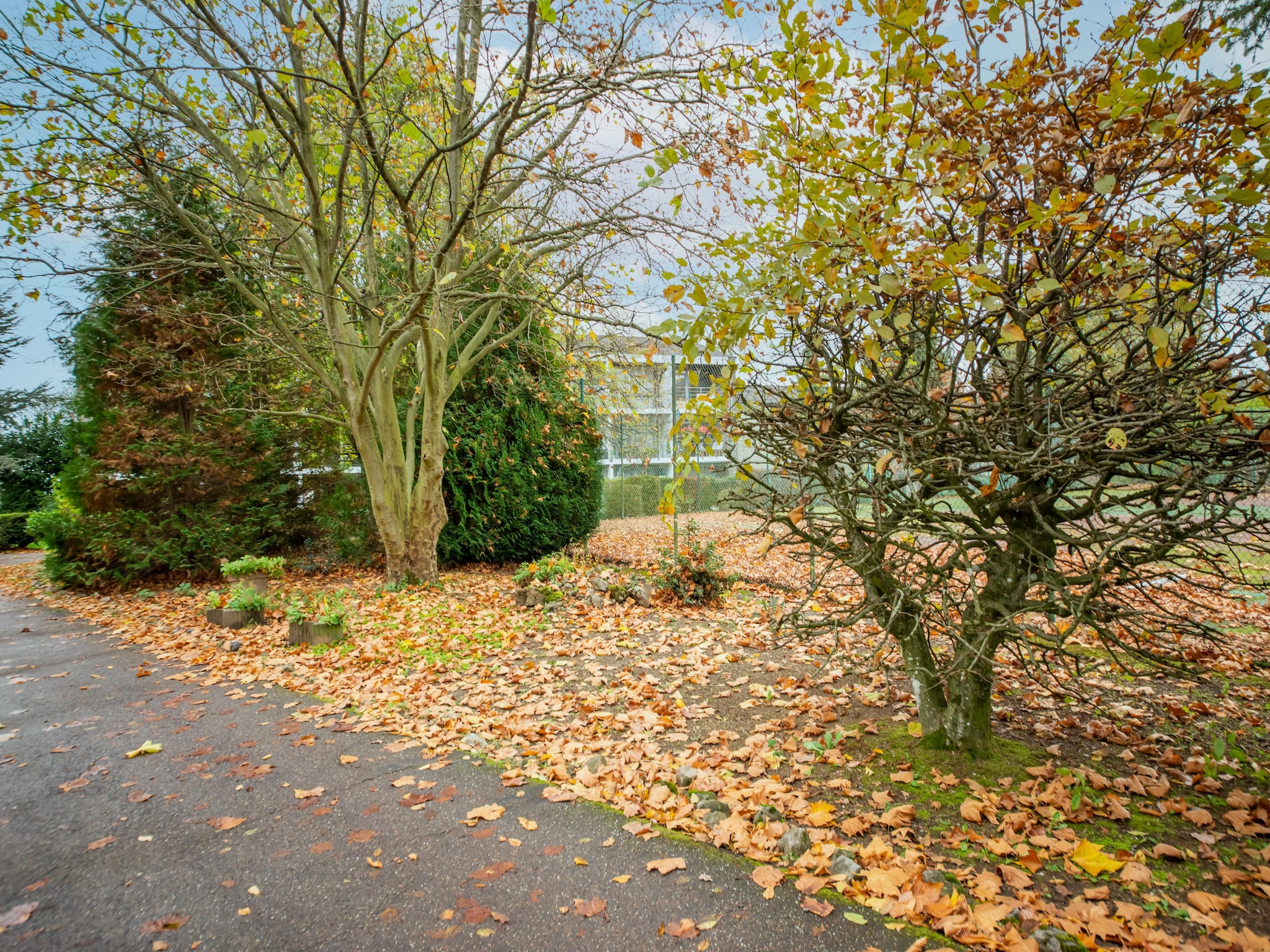 Appartement Le petit coin du bonheur
