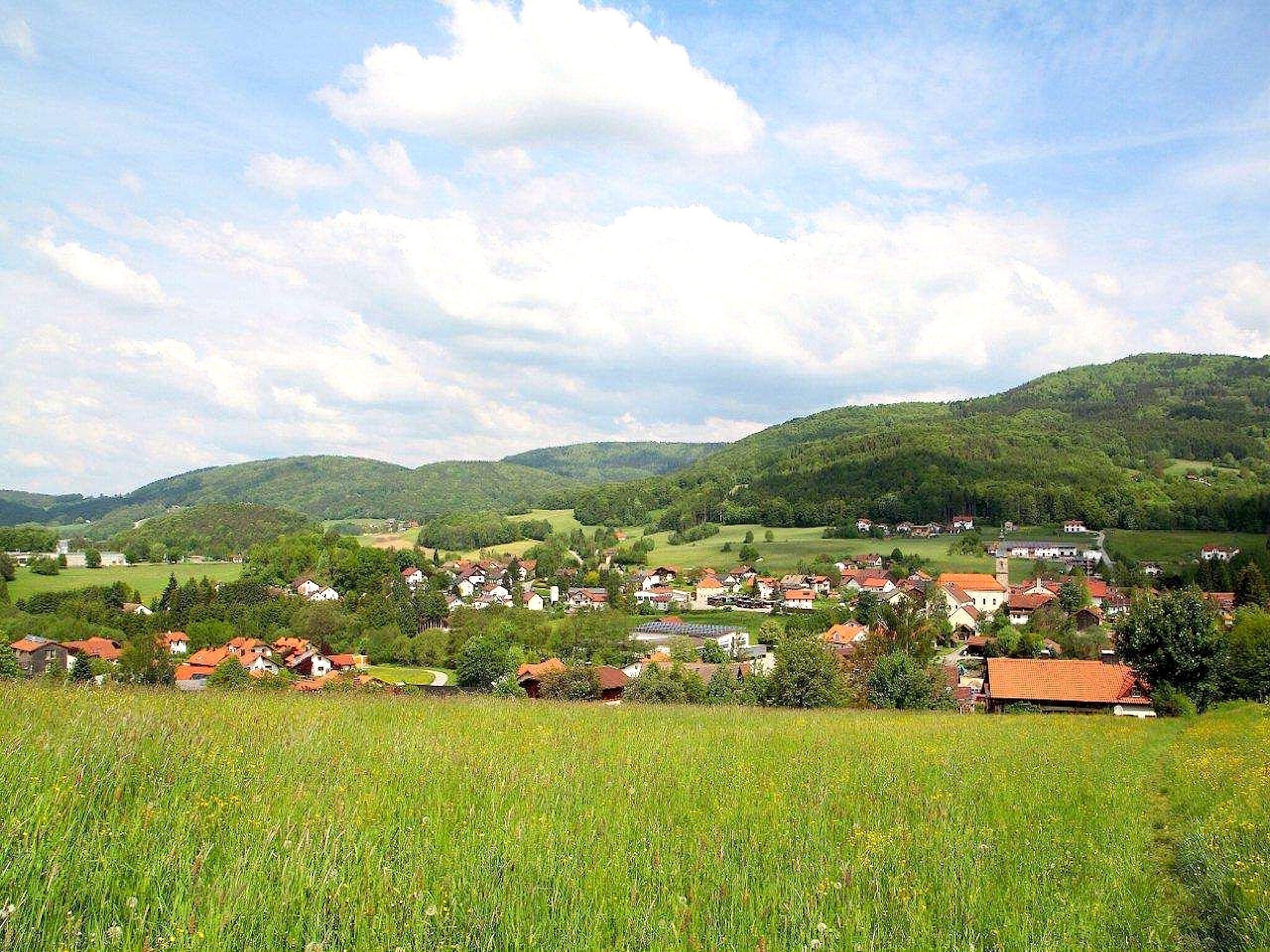Apartment 	Holiday flats Haus am Wald Zenting-Wohnung fü