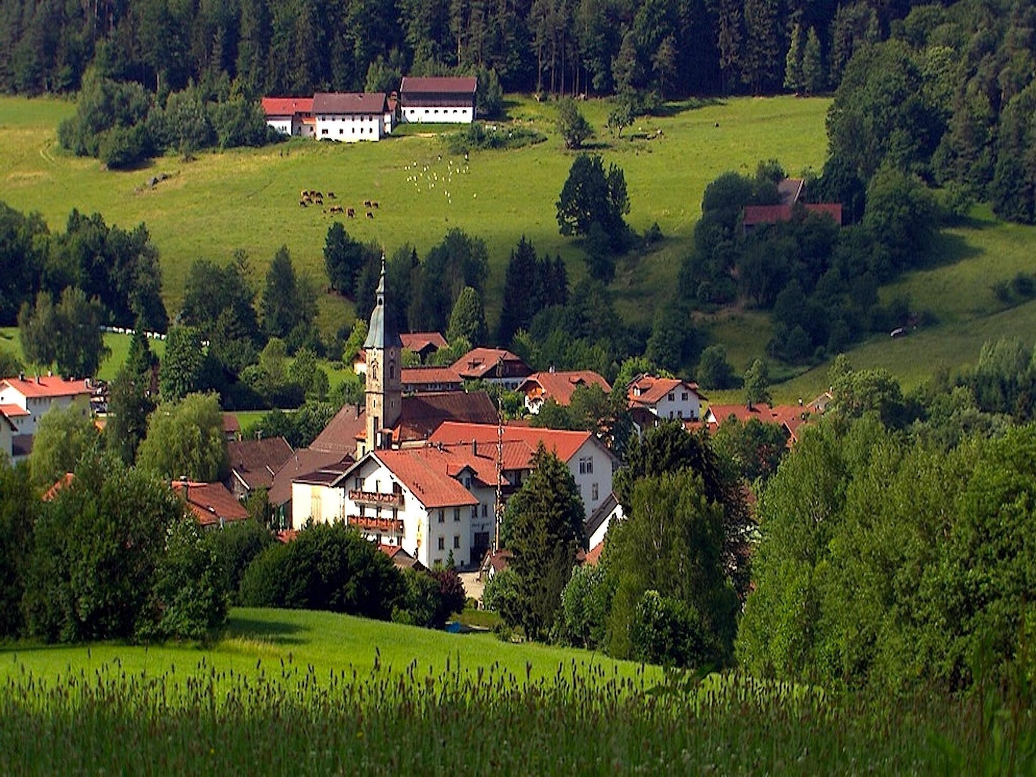 Apartment 	Holiday flats Haus am Wald Zenting-Wohnung fü