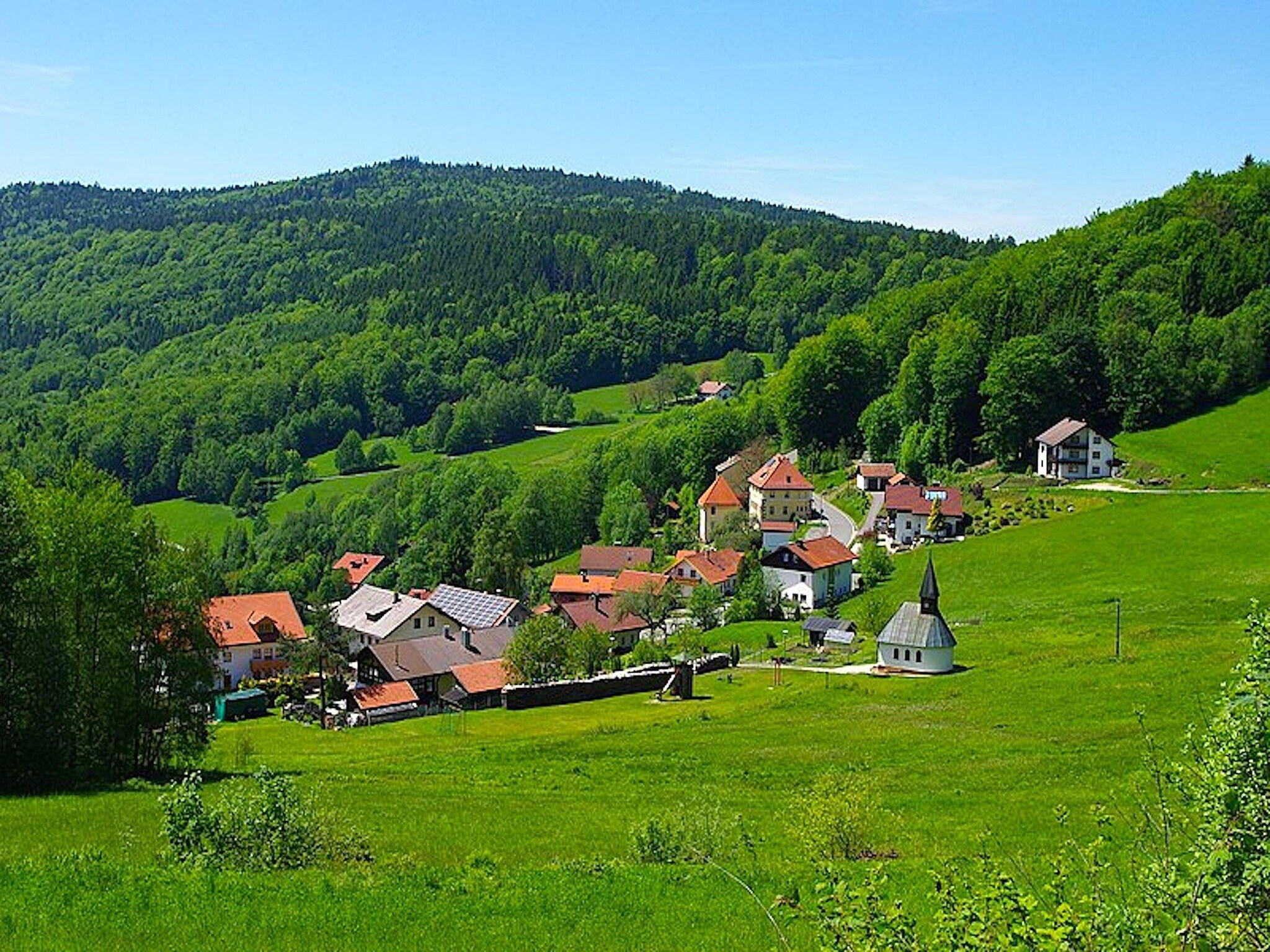 Apartment 	Holiday flats Haus am Wald Zenting-Wohnung fü