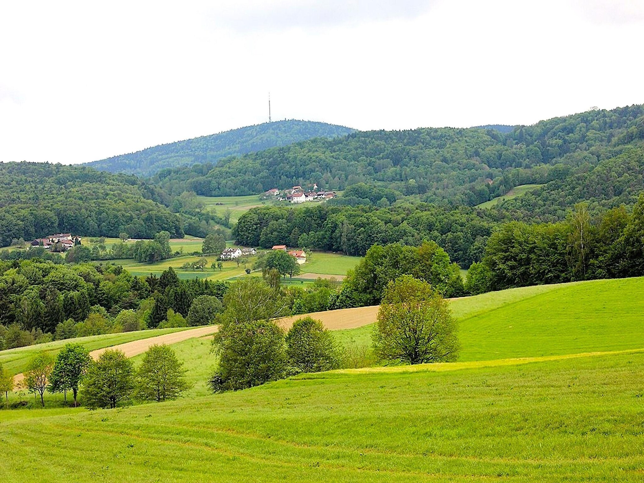 Apartment 	Holiday flats Haus am Wald Zenting-Wohnung fü
