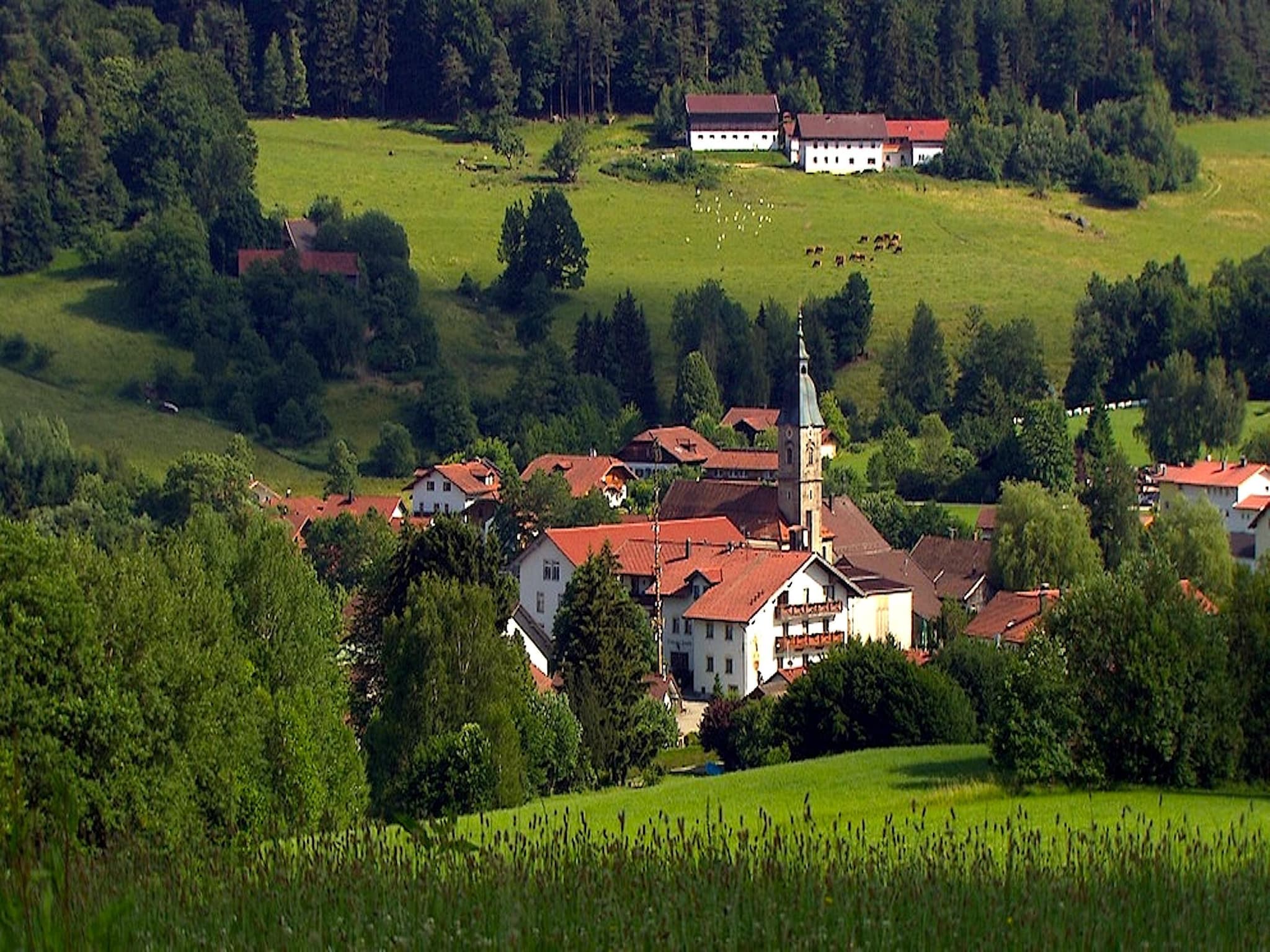 Ferienwohnung Holiday flats Haus am Wald Zenting-Wohnung fü