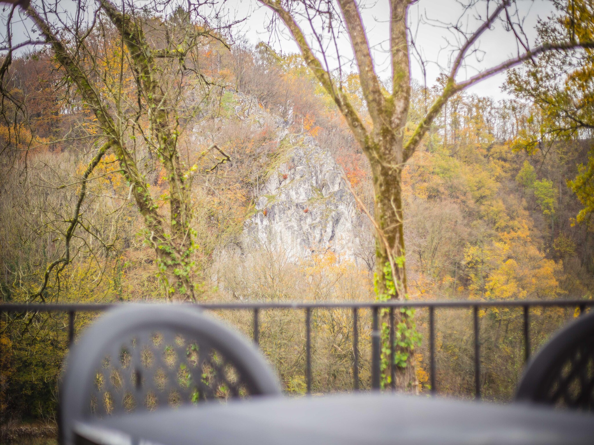   Vue sur Ourthe