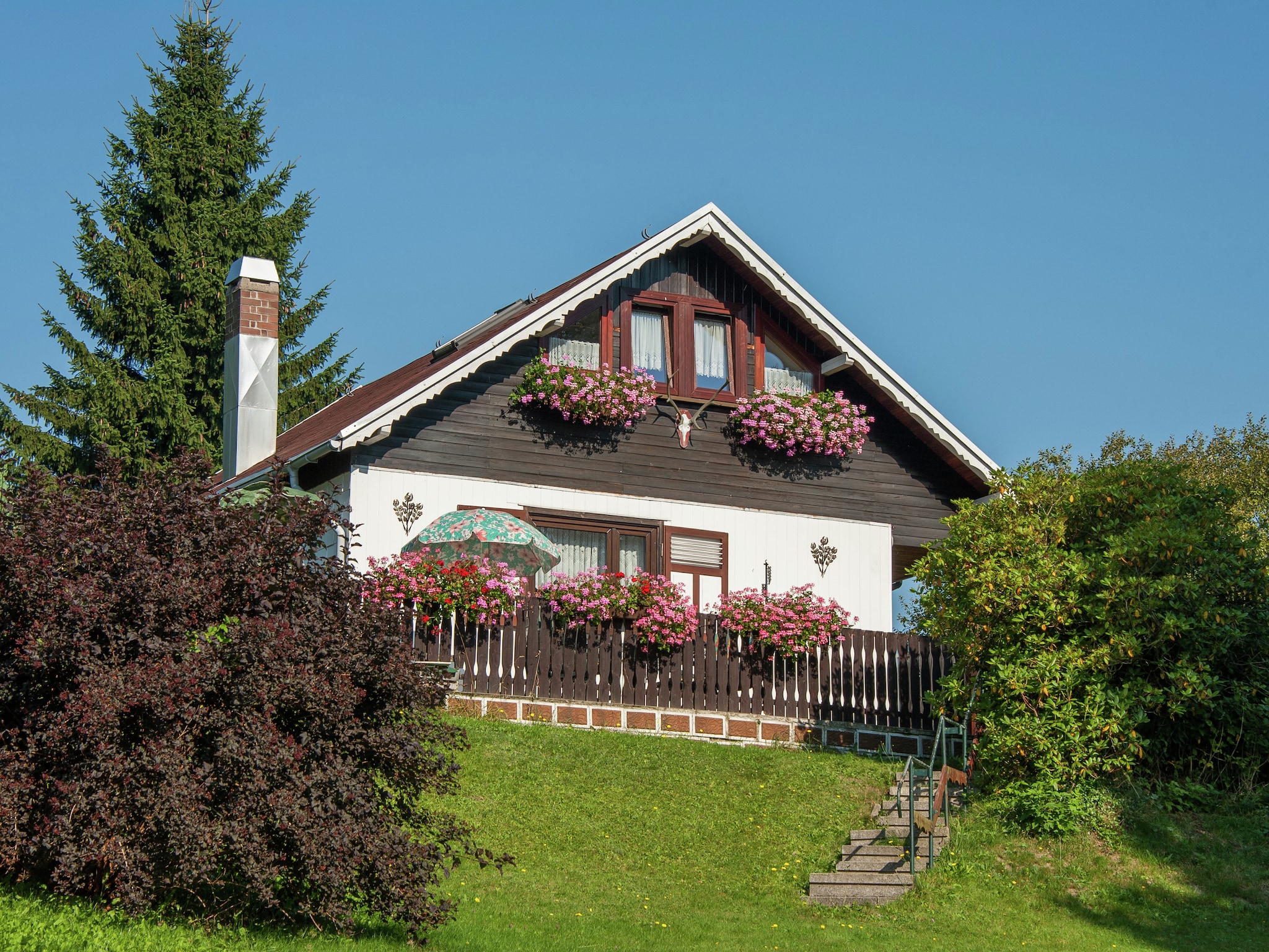   Thüringer Ferienhäuschen