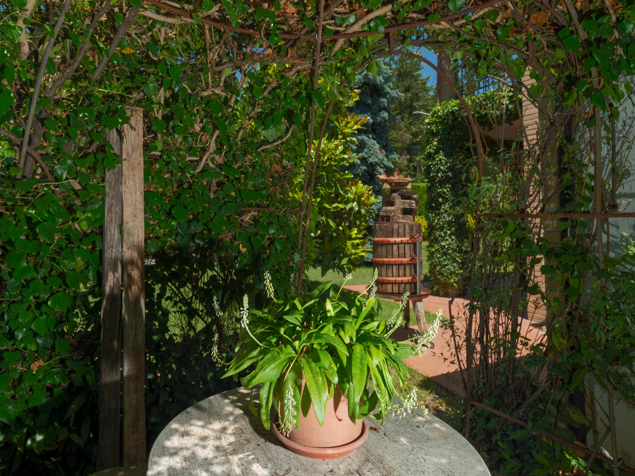 Leilighet Apartamento Giardino