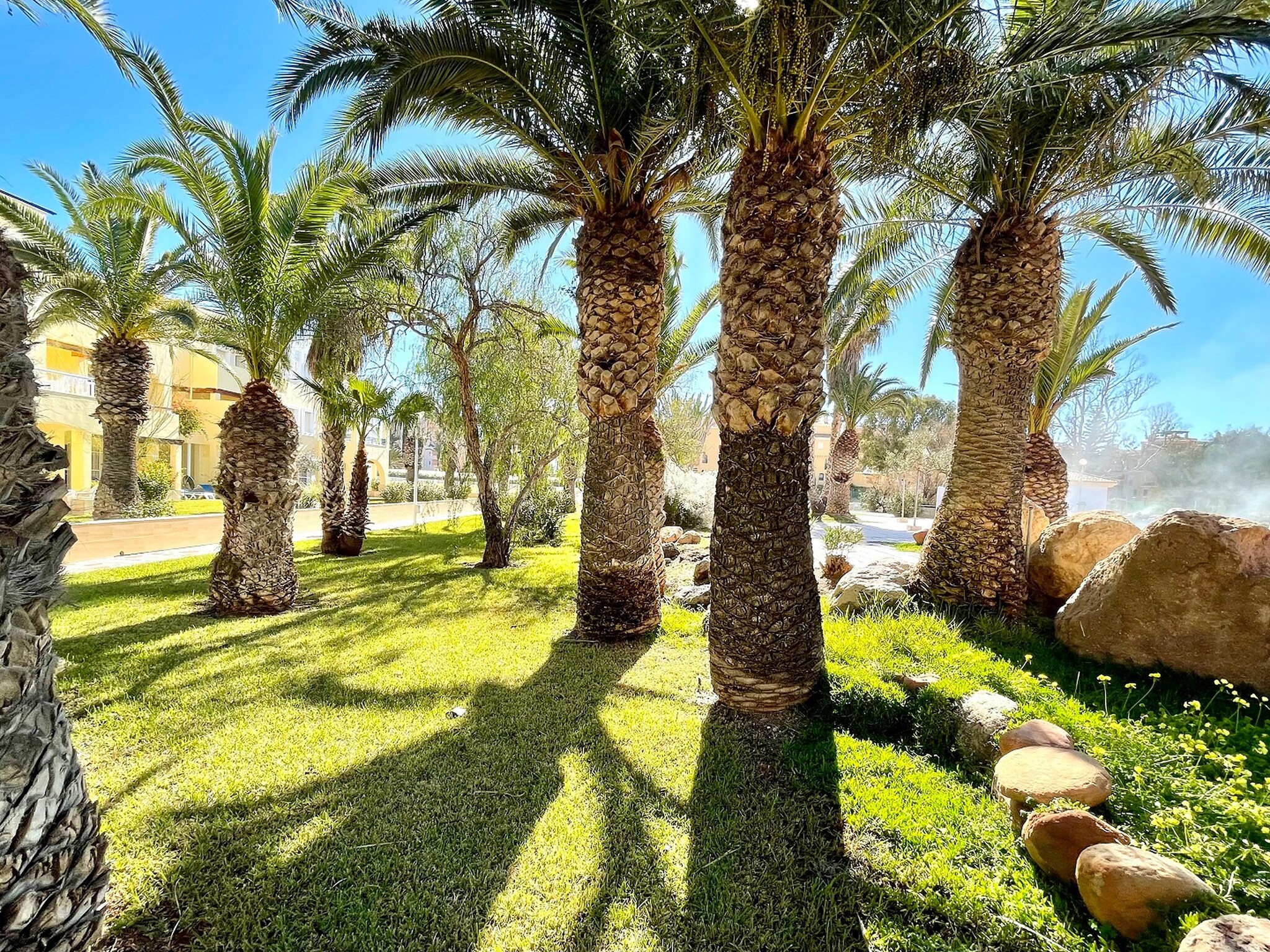 Appartement Moguima 2d
