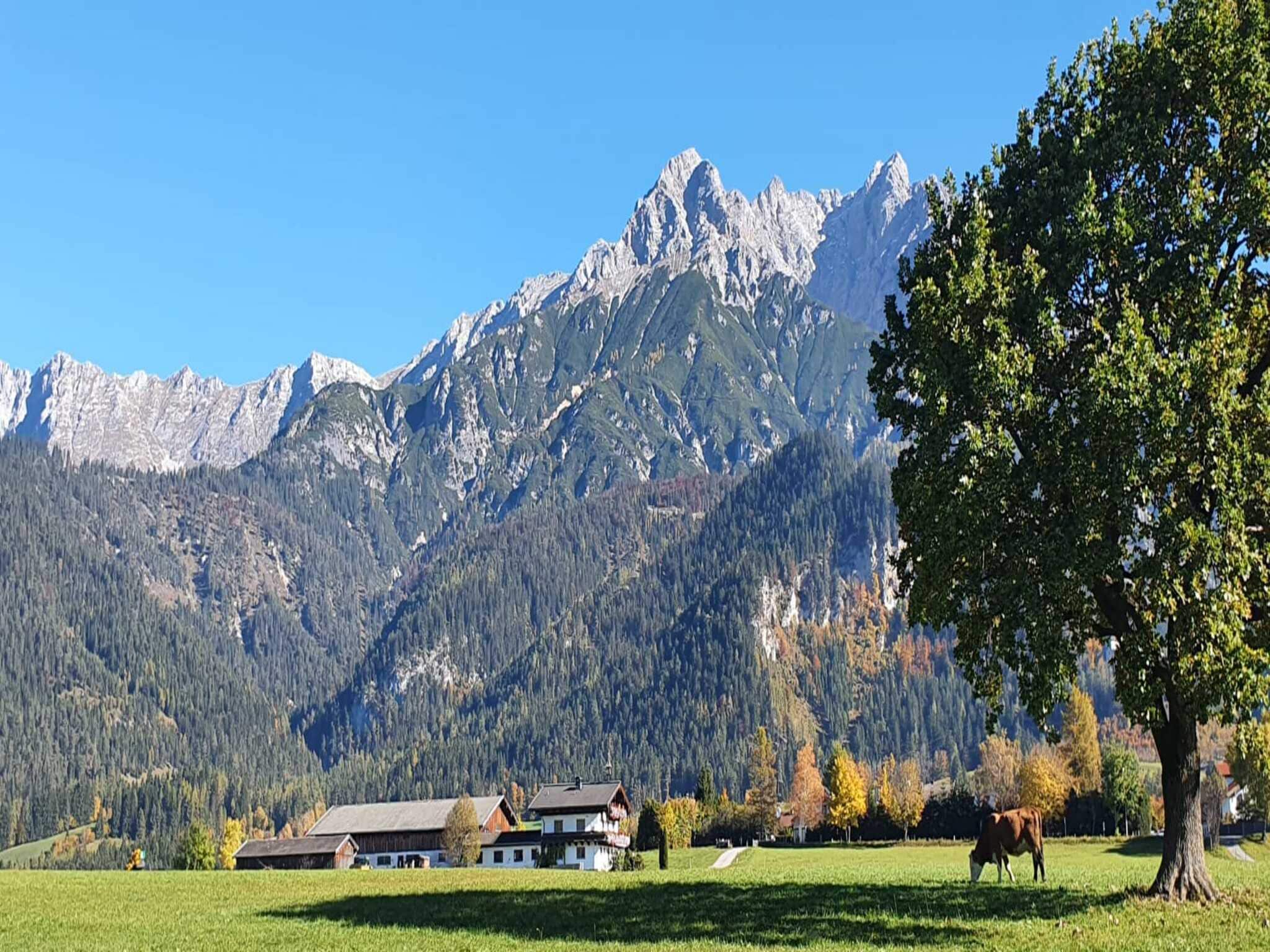 Leilighet Ferienwohnung am Bio-Bauernhof