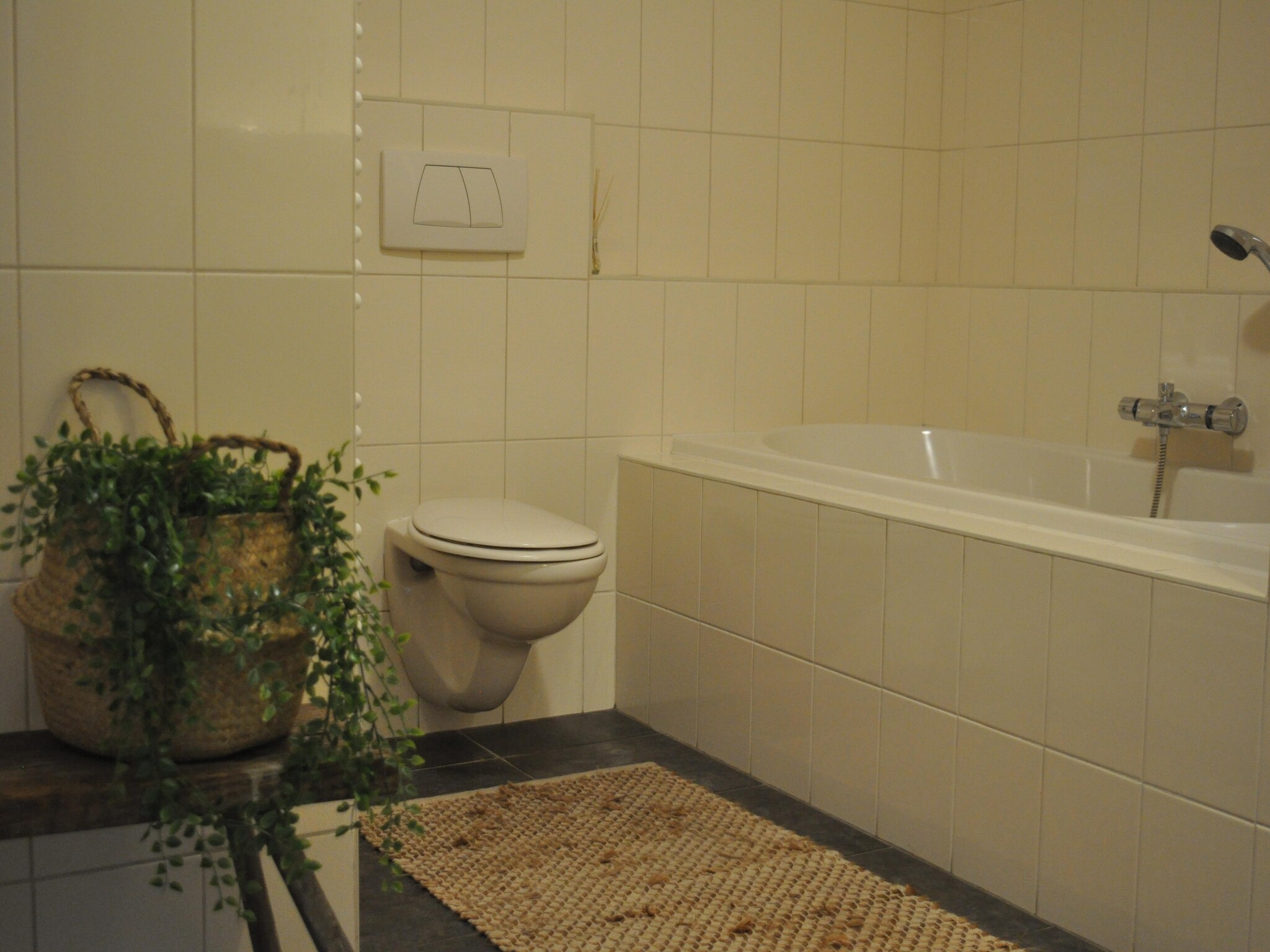   Dorpswoning De Volbloed