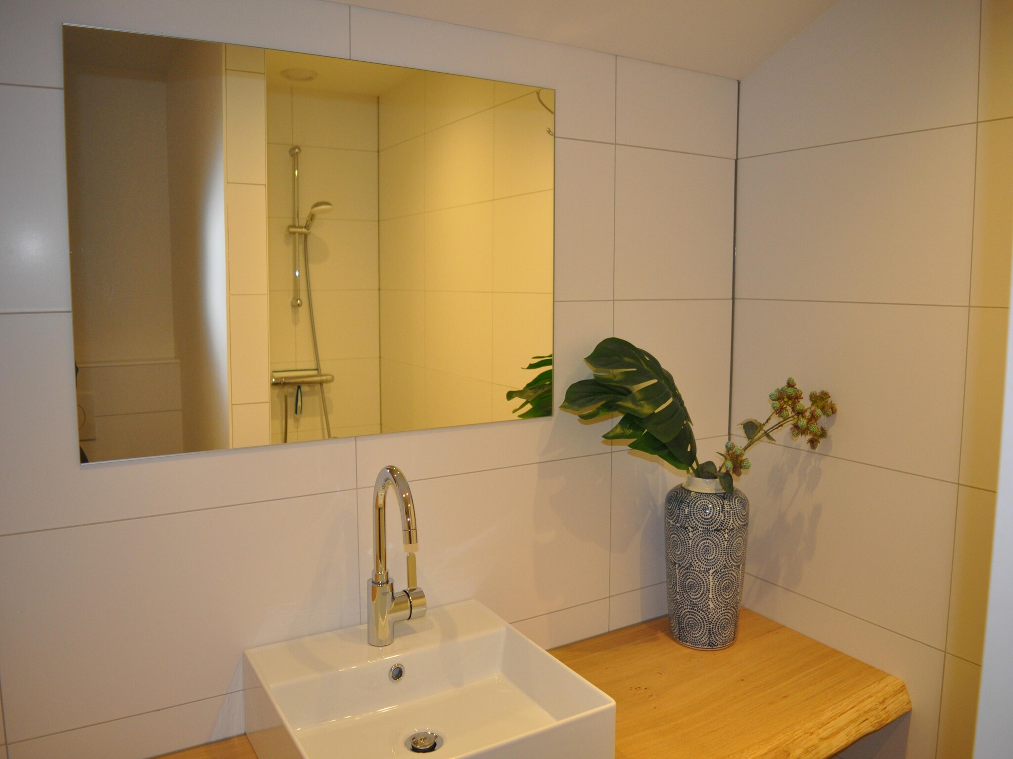   Dorpswoning De Volbloed