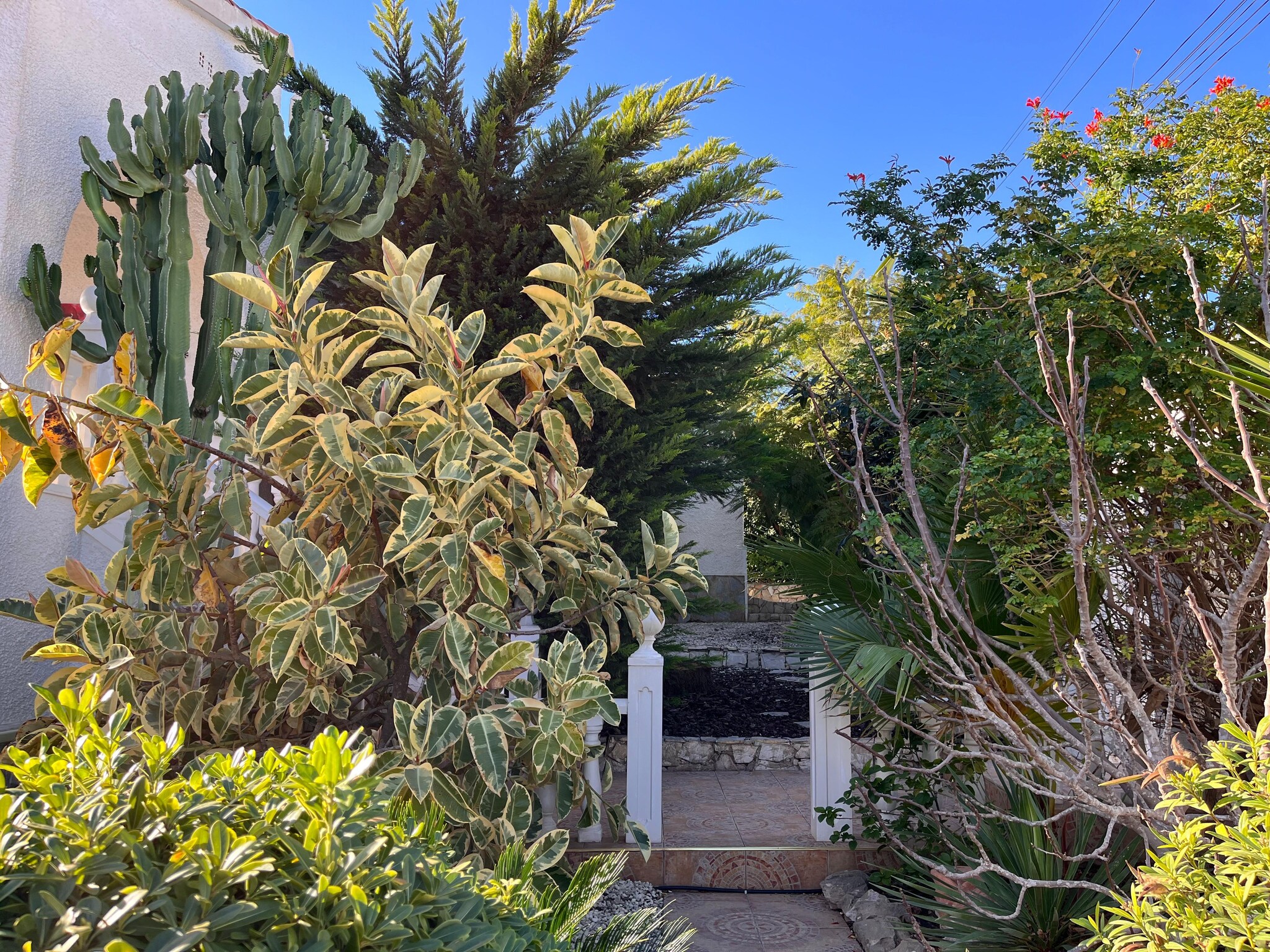   Villa Cuidad Quesada