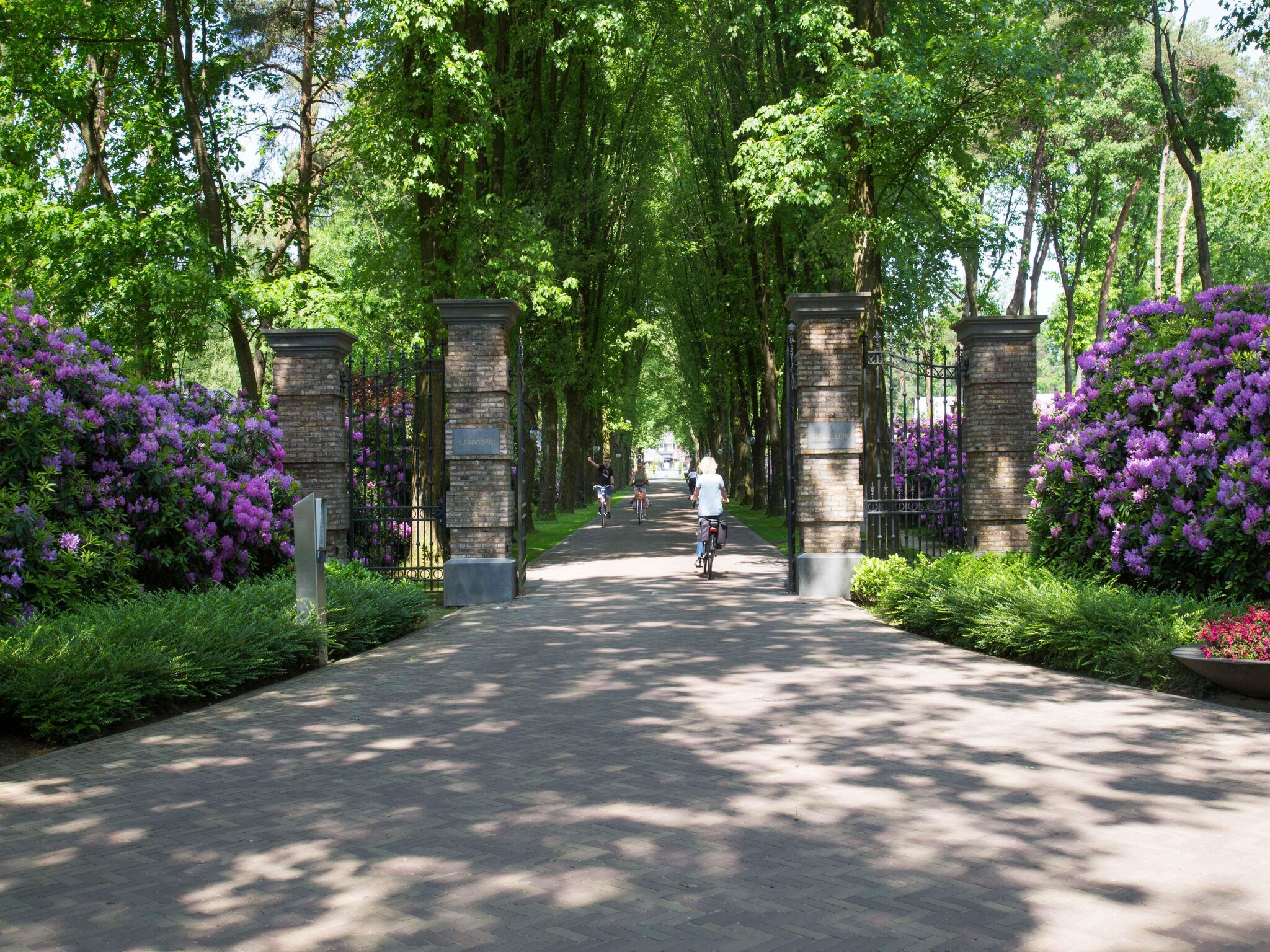 Vakantiehuis Landgoed De Scheleberg 30