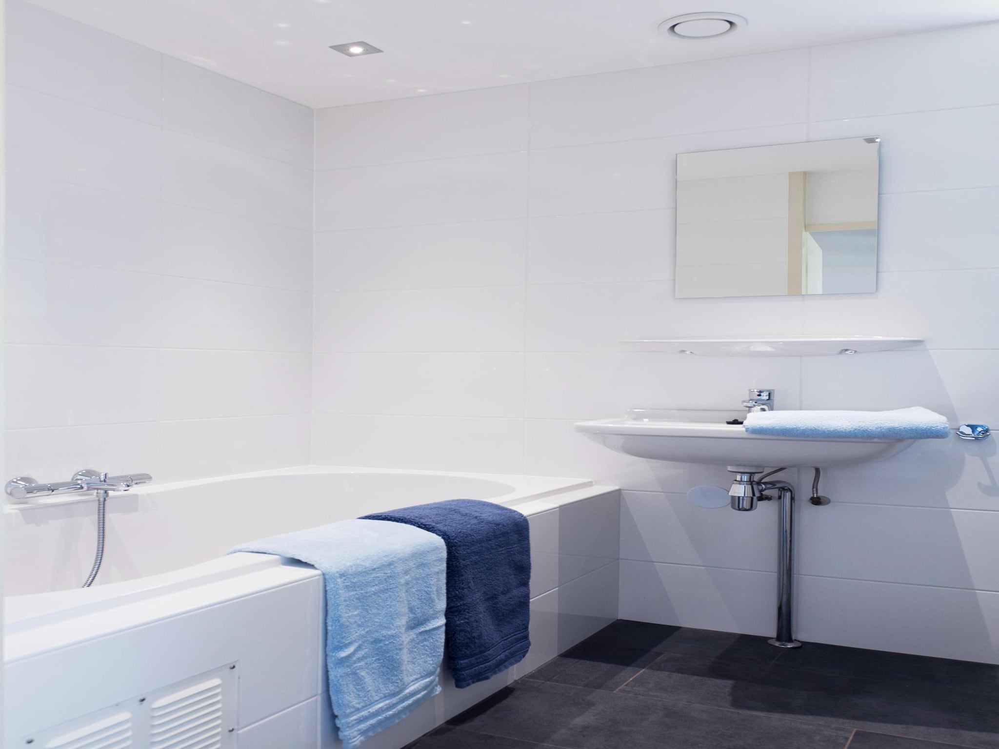   Skip Wellness de luxe met sauna