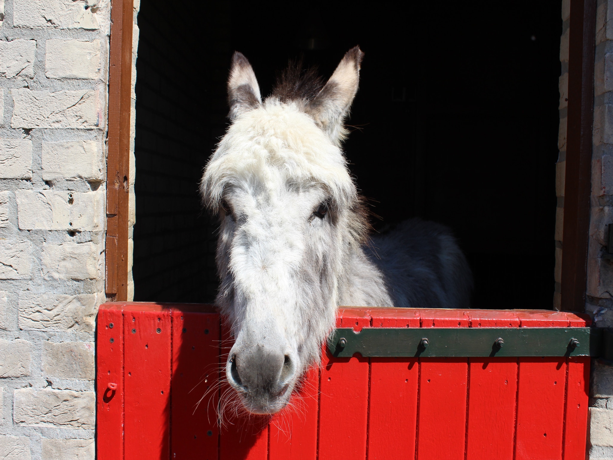   Vakantiepark 't Broeckhuys 1