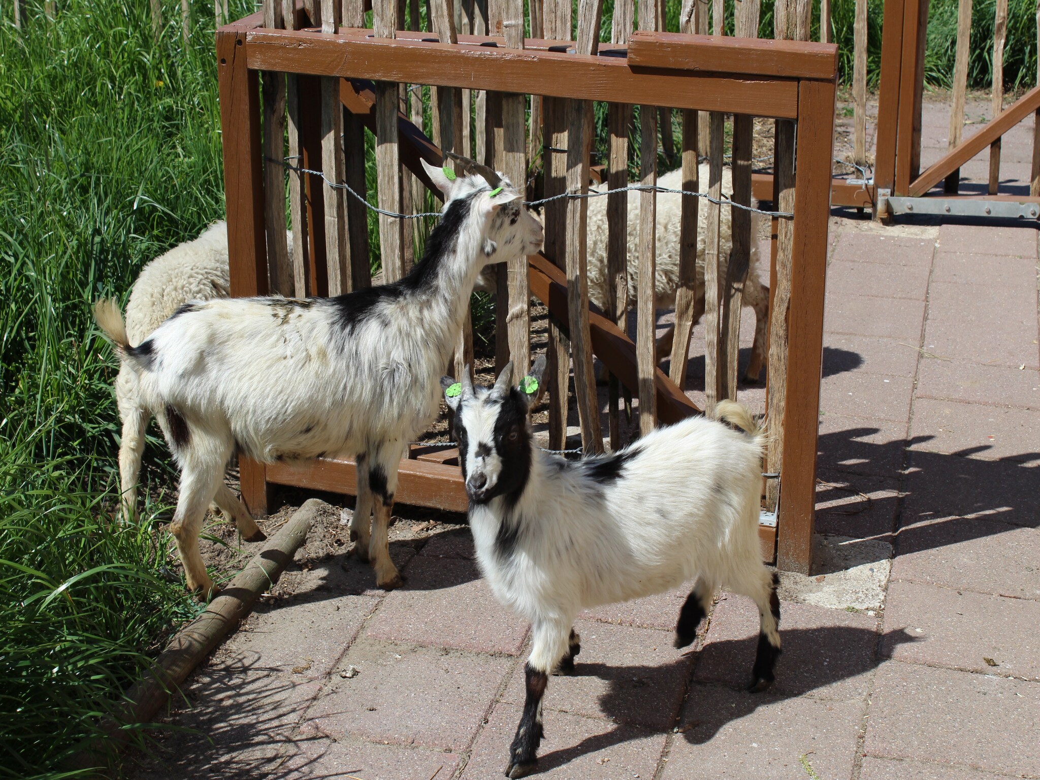   Vakantiepark 't Broeckhuys 1