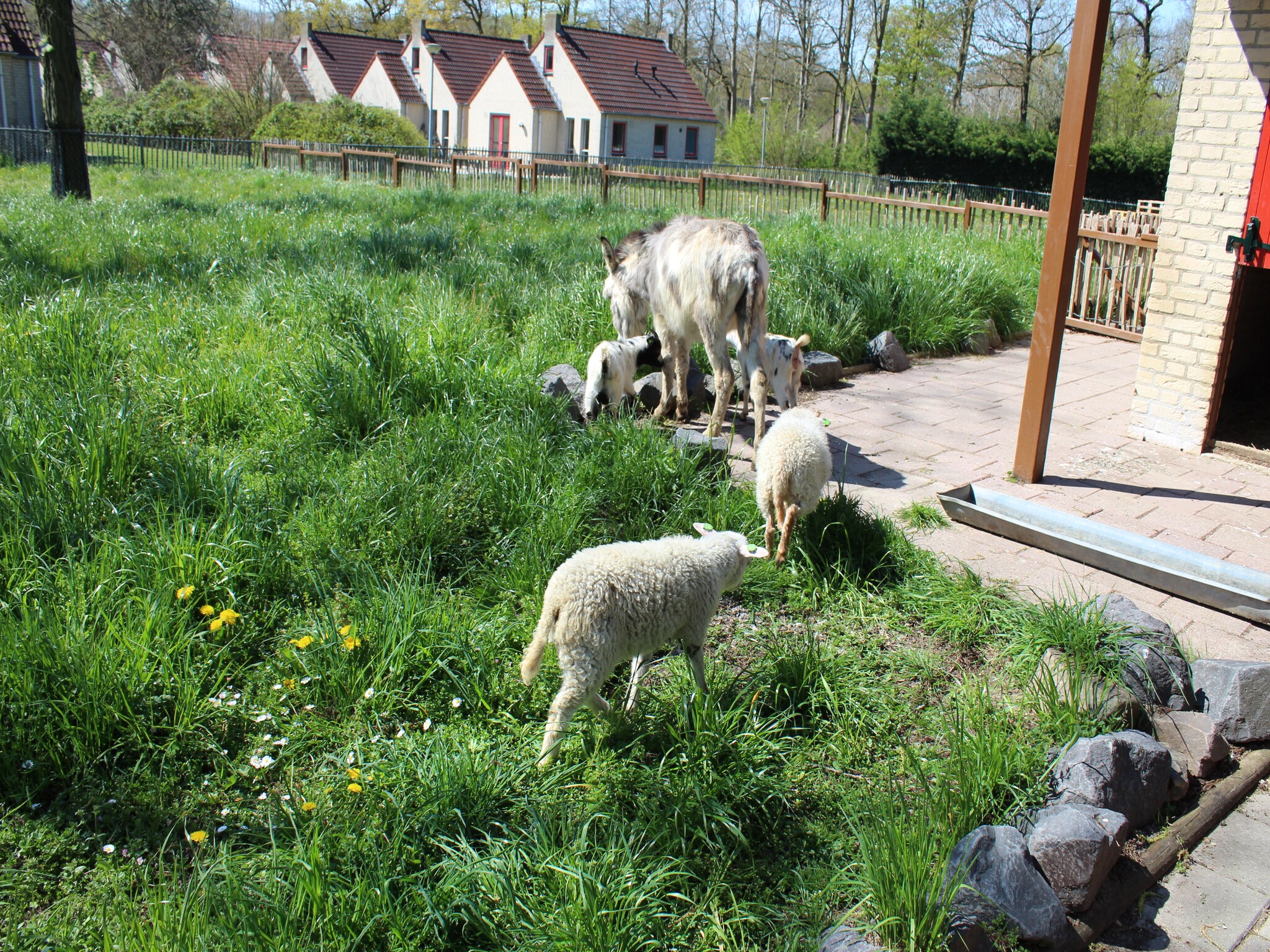   Vakantiepark 't Broeckhuys 1