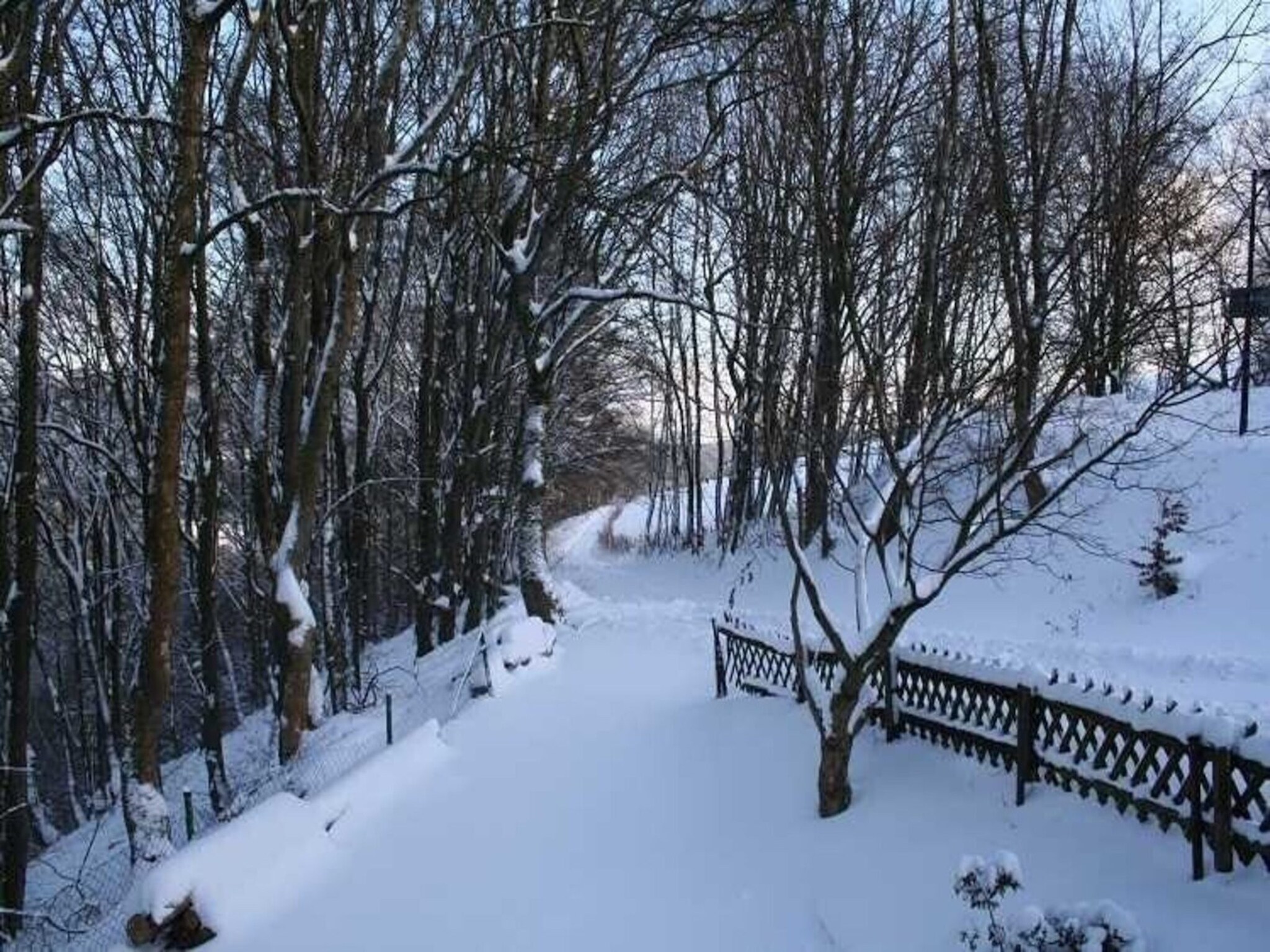   Am Wald