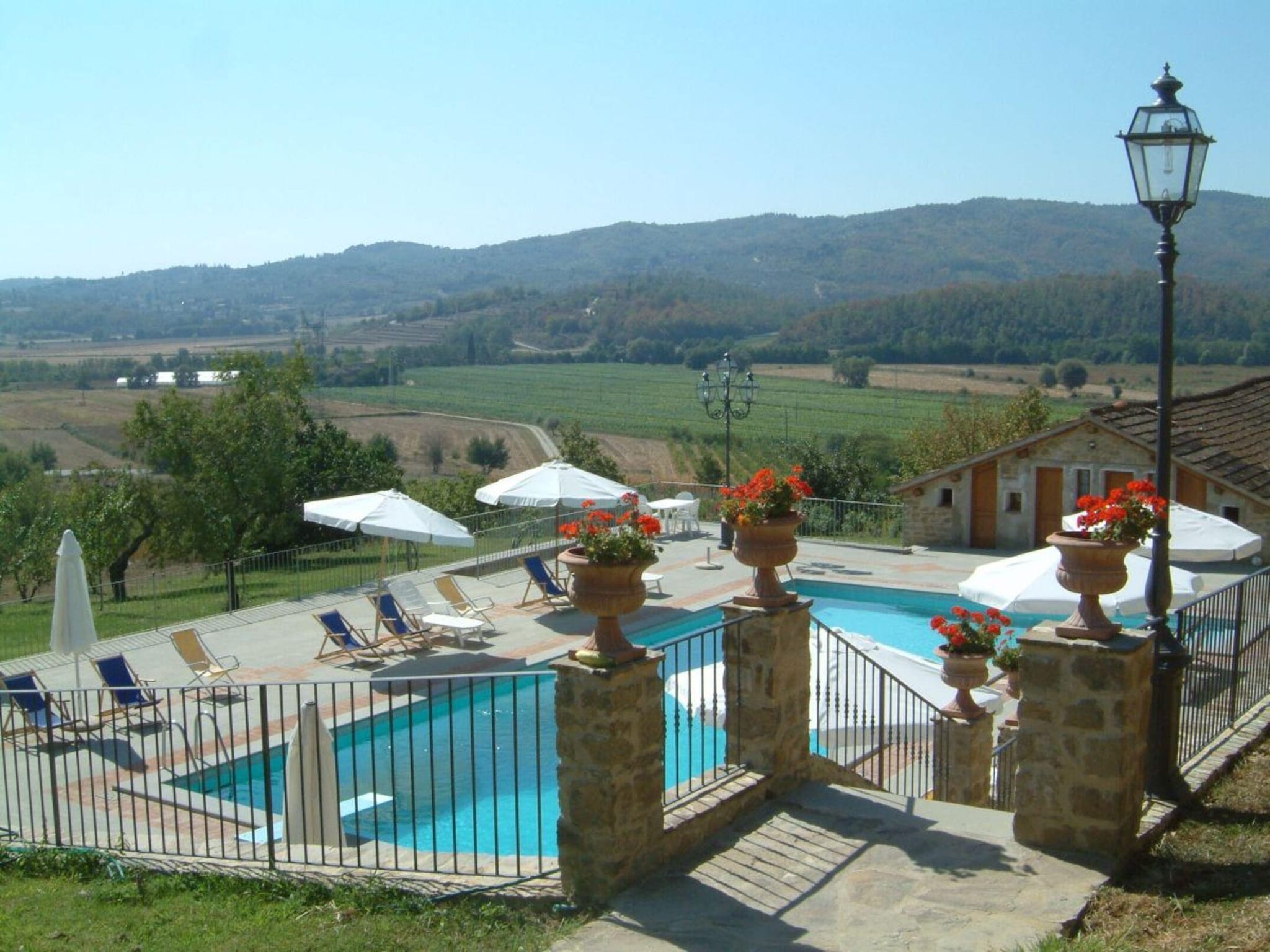   Perugino - Bilo 4 Montefalco