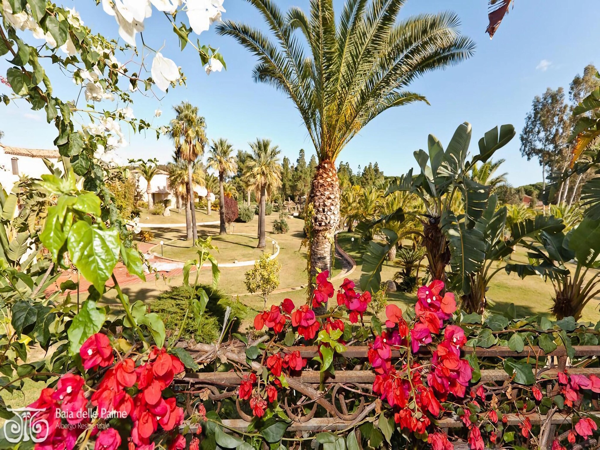 Appartement BAIA DELLE PALME-Mono 2