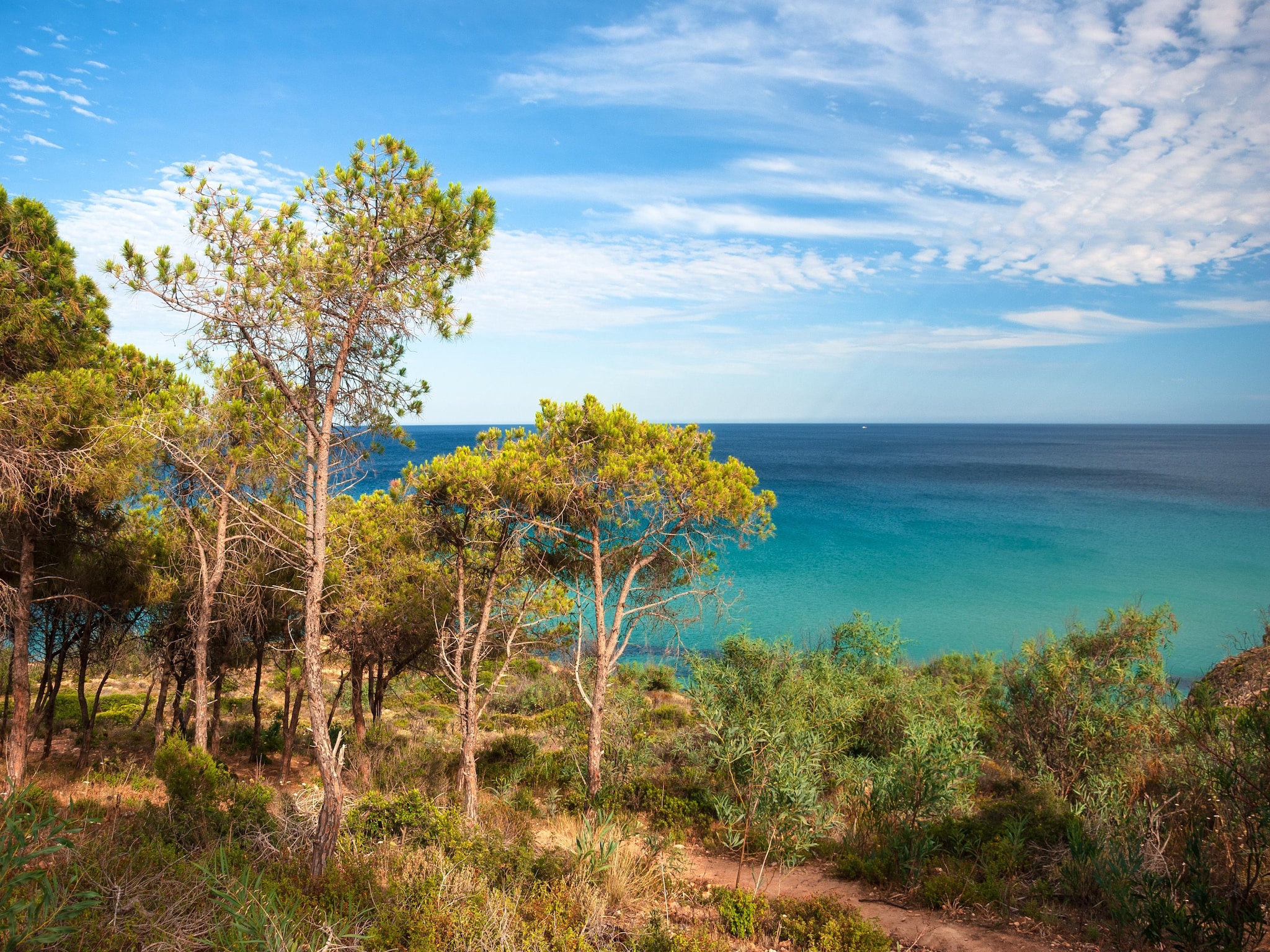 Appartement BAIA DELLE PALME  Bilo 4 premium