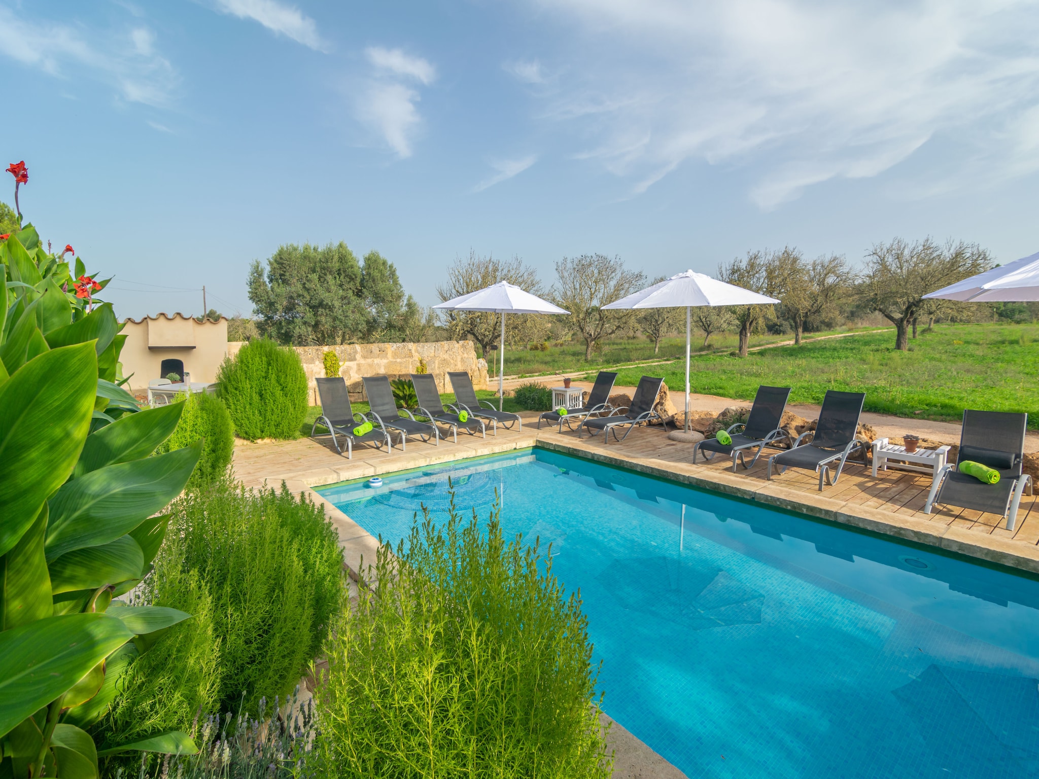 Ferienhaus Son Indiot