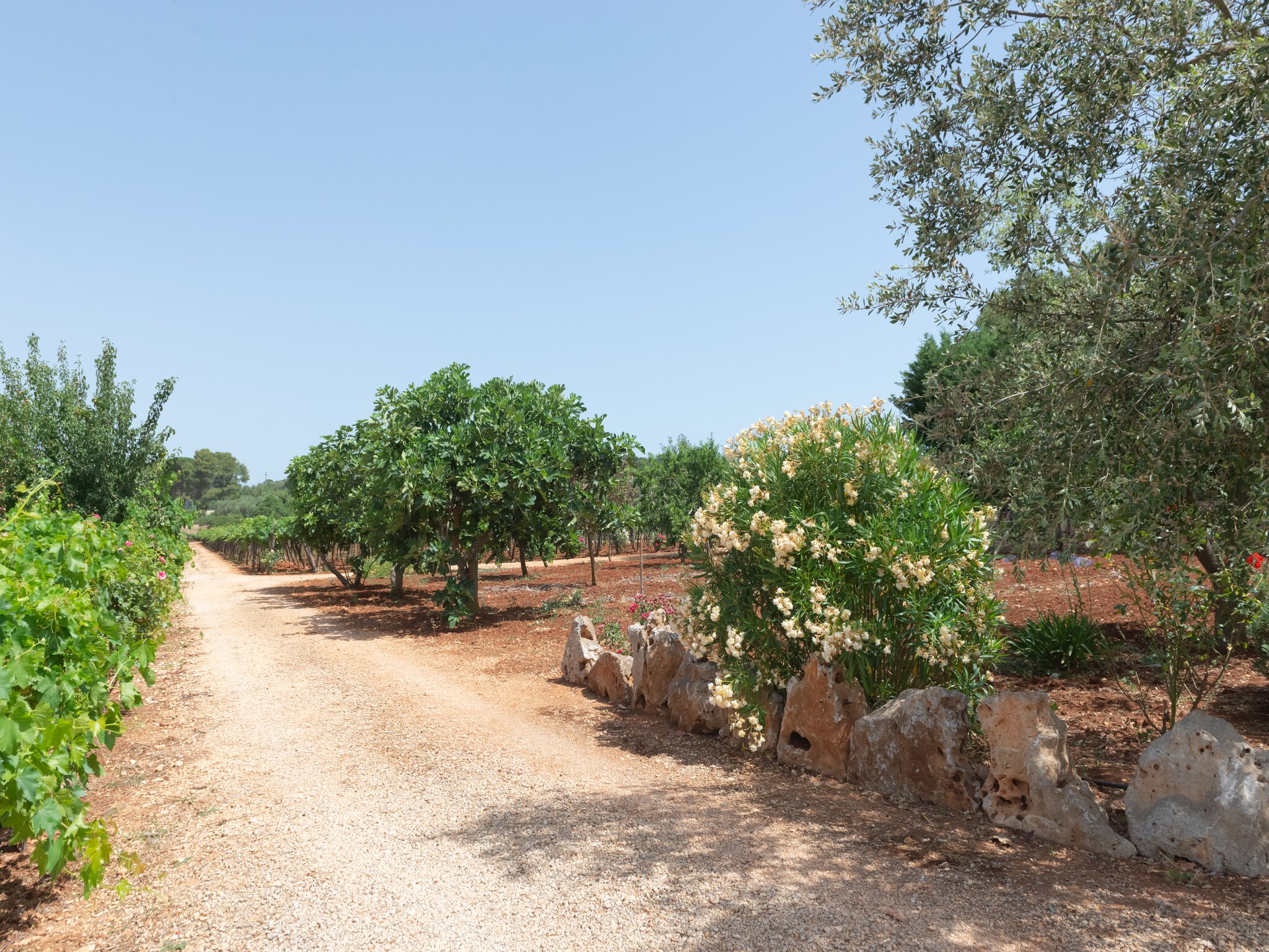   Trullo Filippo Ostuni