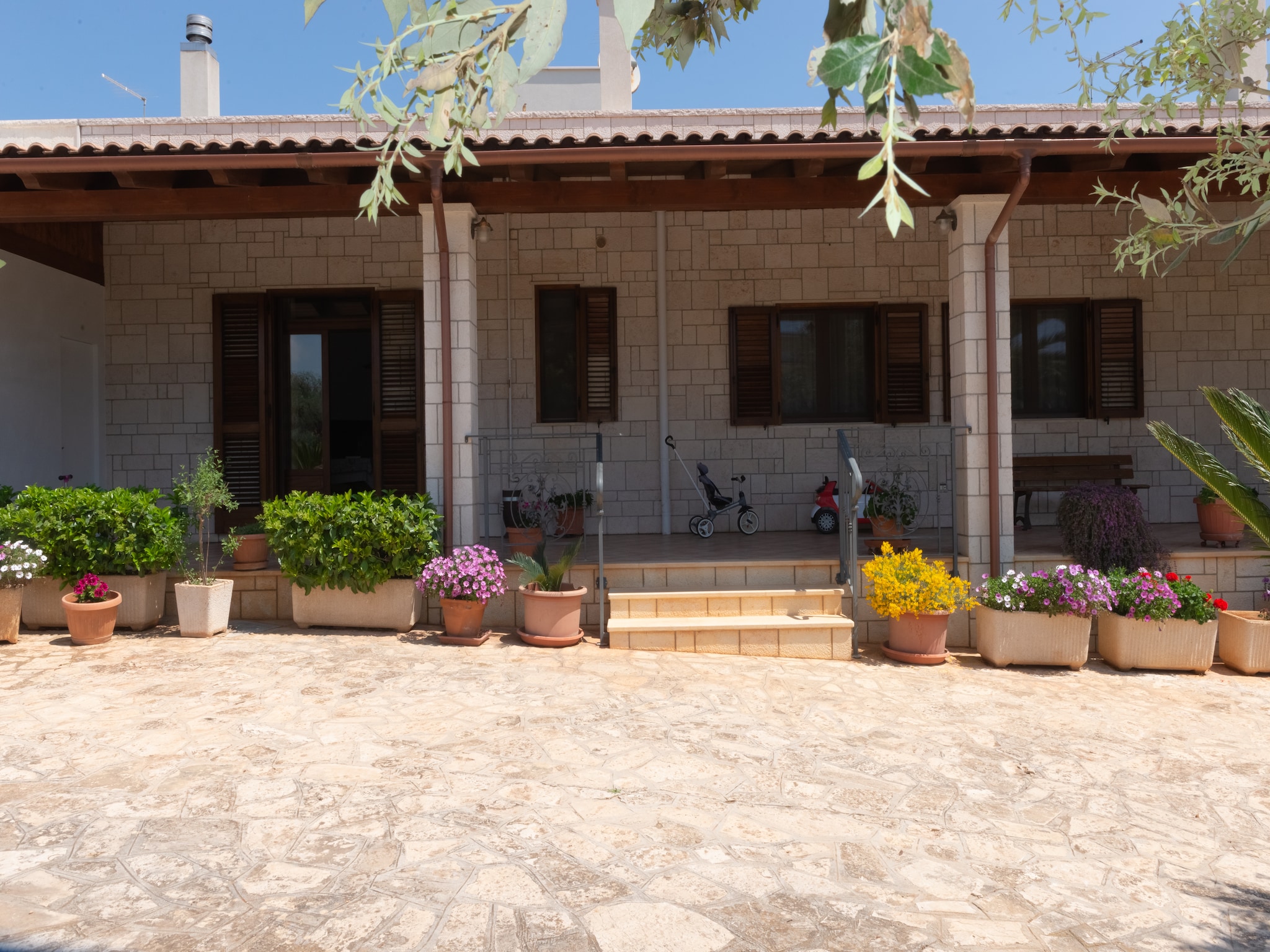   Tenuta Masiedd 1 Cisternino