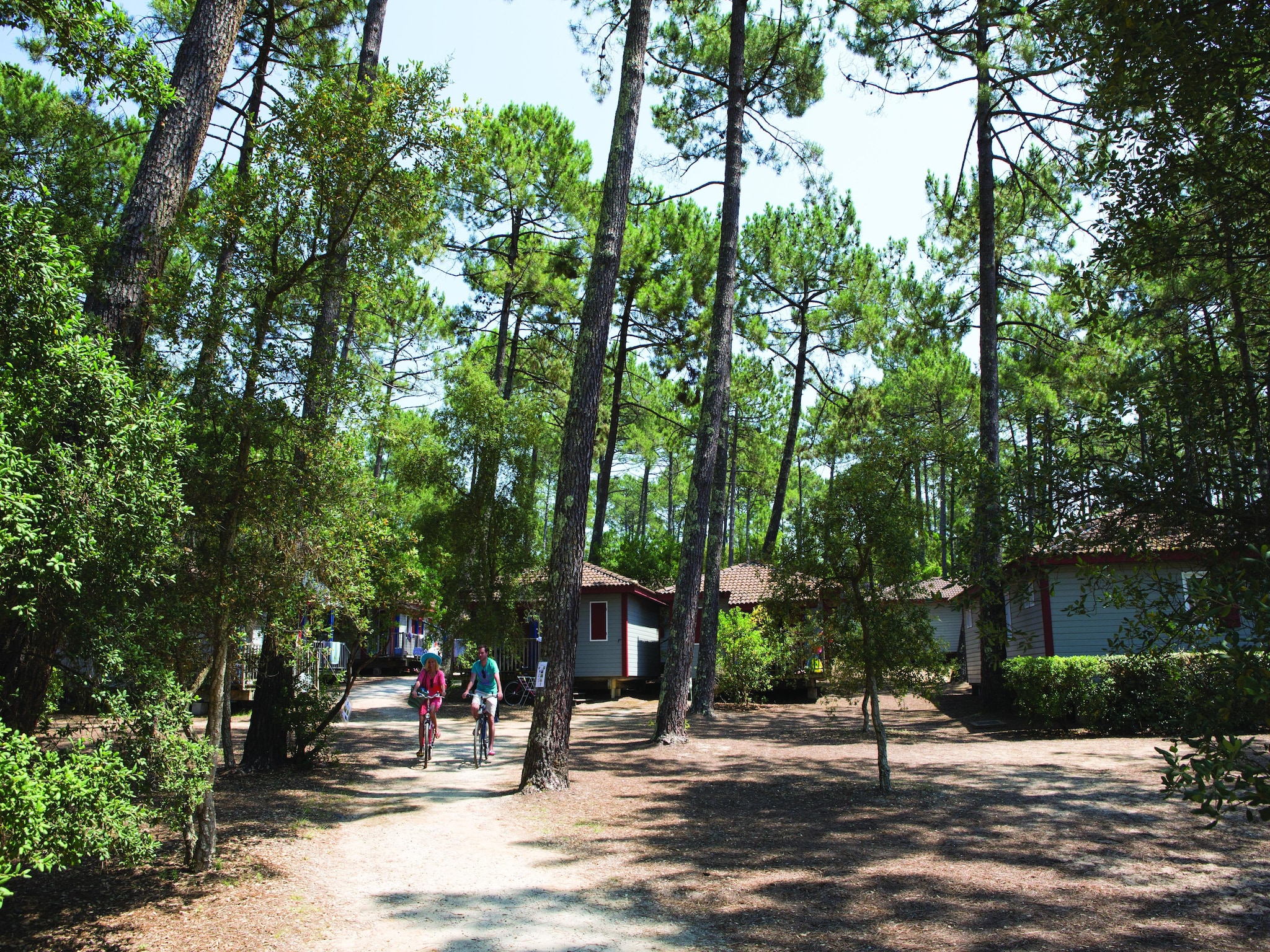   Résidence Landes - Moliets  // Chalet 3 pcs 5