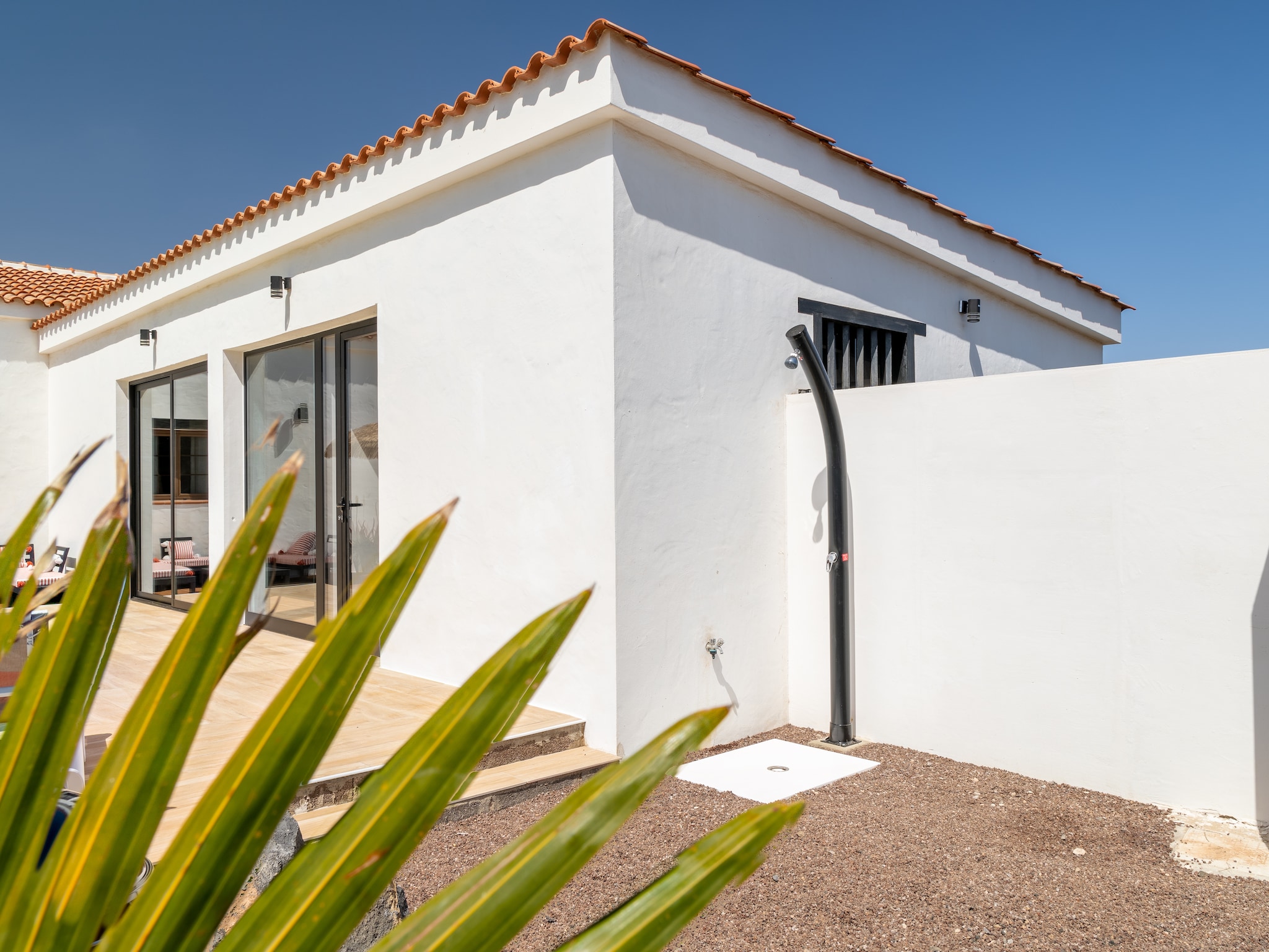   Palacio Caralluma