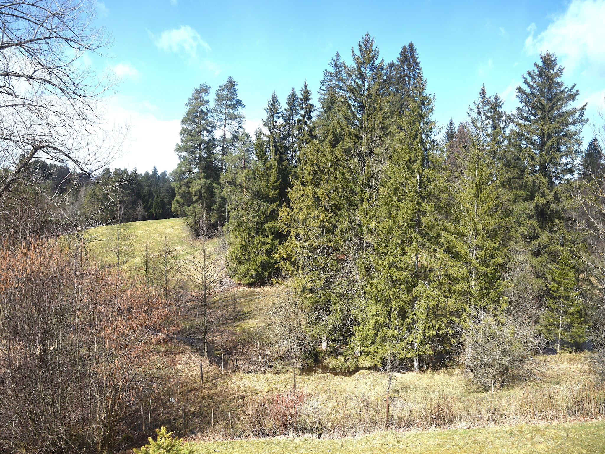   Feriendorf Weissensee HF