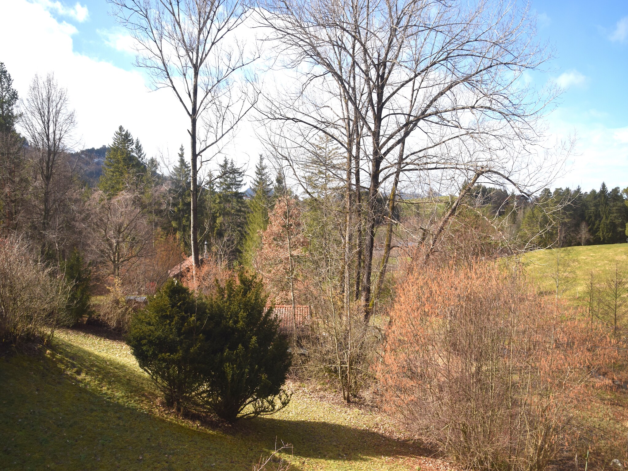   Feriendorf Weissensee HF