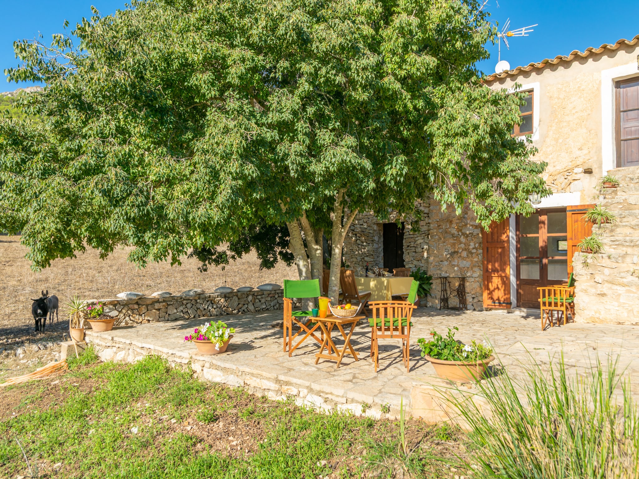 Ferienhaus Son EsquerrÀ