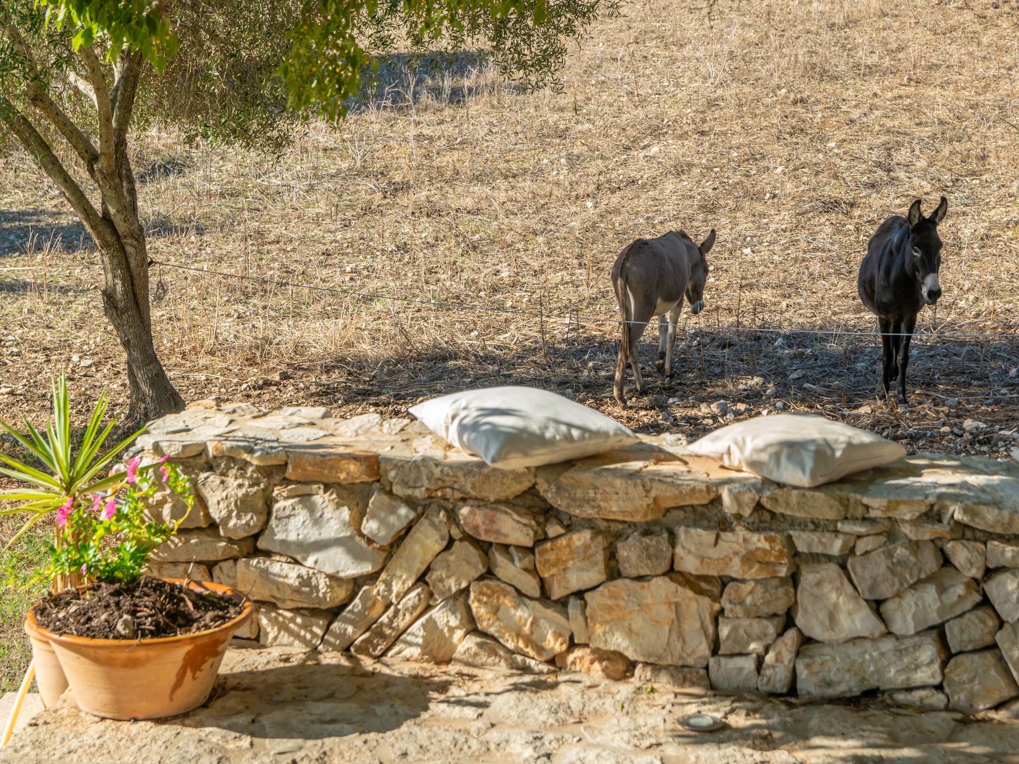 Ferienhaus Son EsquerrÀ