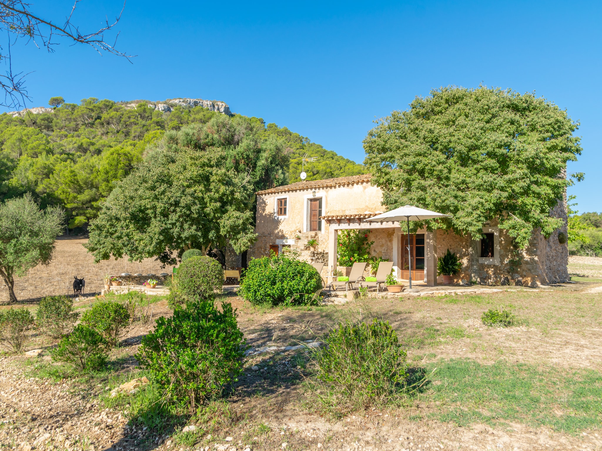 Ferienhaus Son EsquerrÀ