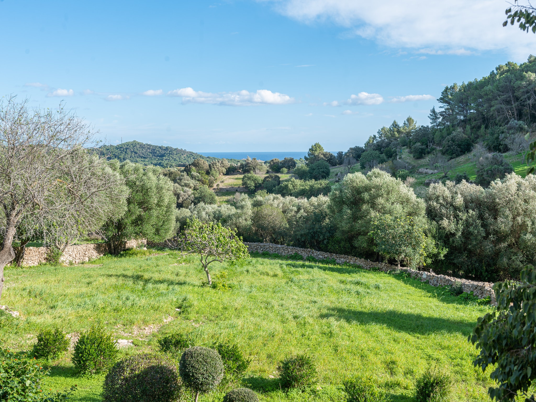Ferienhaus Son EsquerrÀ
