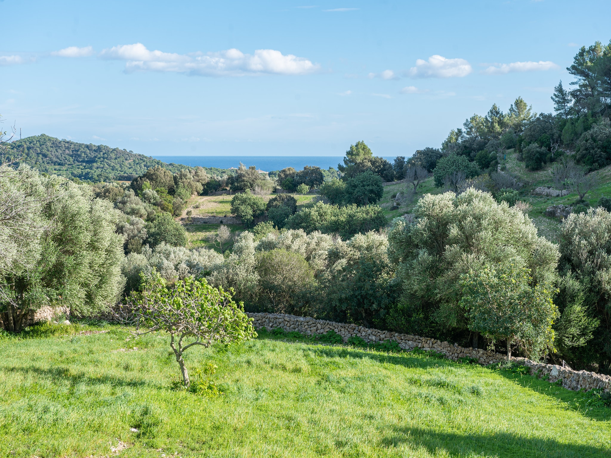 Ferienhaus Son EsquerrÀ