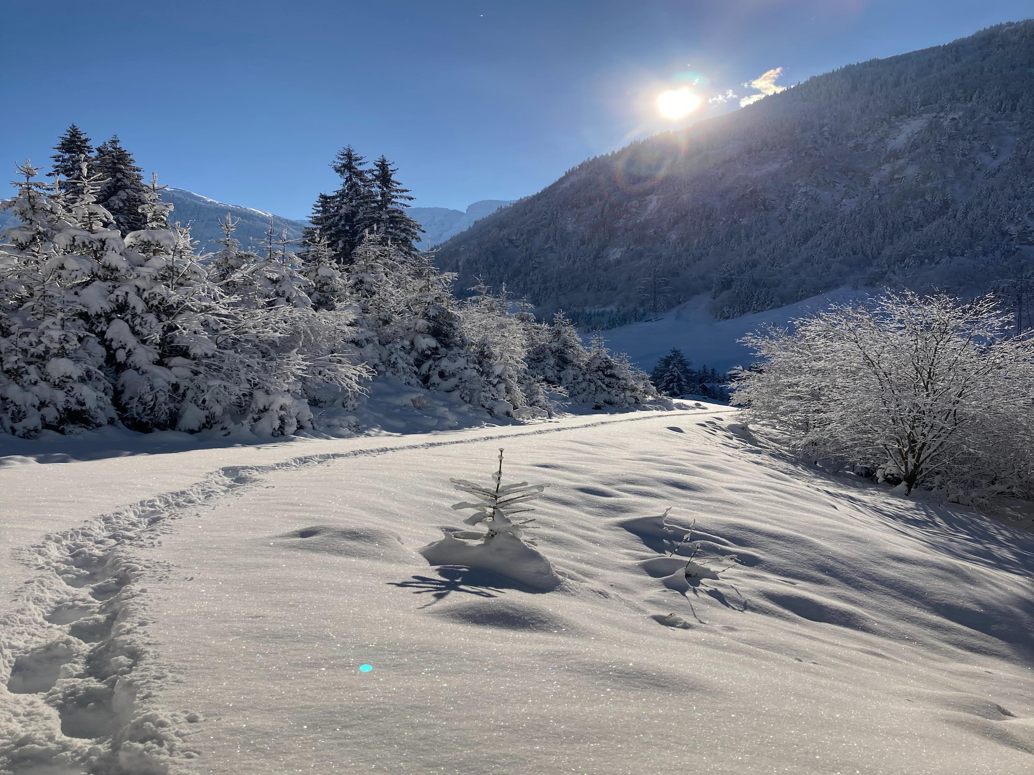 Ferienwohnung Fewo Pinzgau