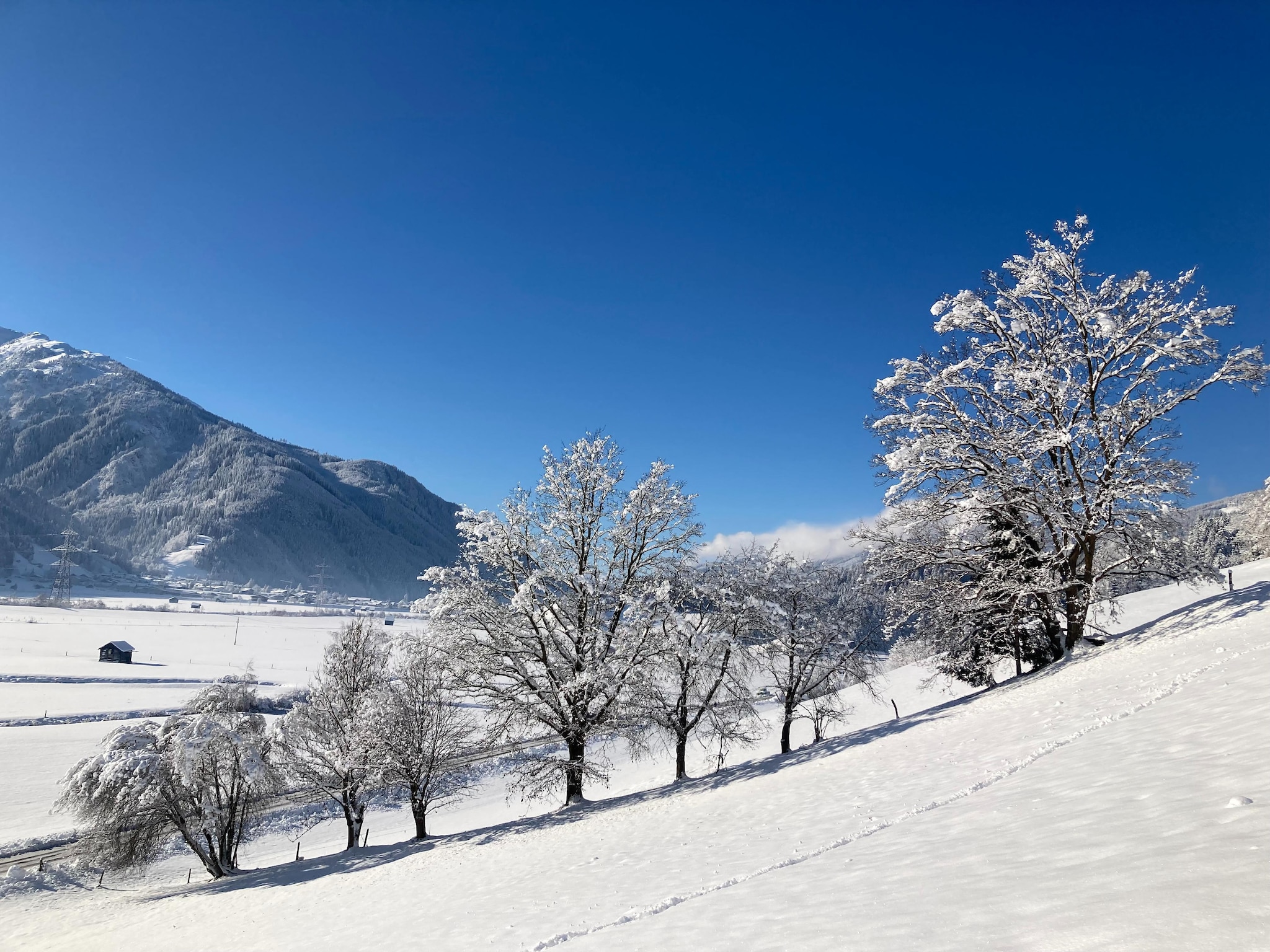 Ferienwohnung Fewo Pinzgau