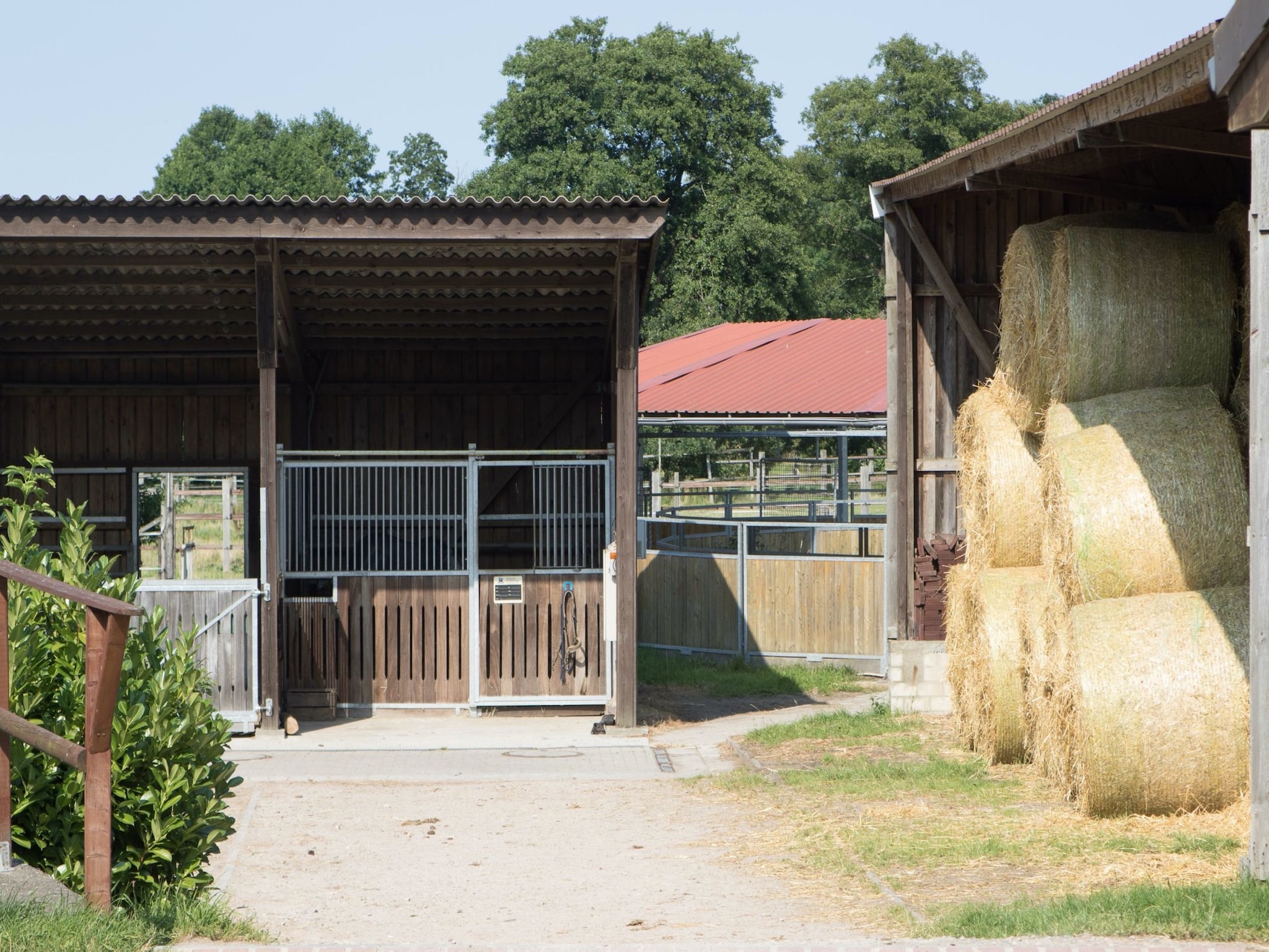   Lüneburger Heide