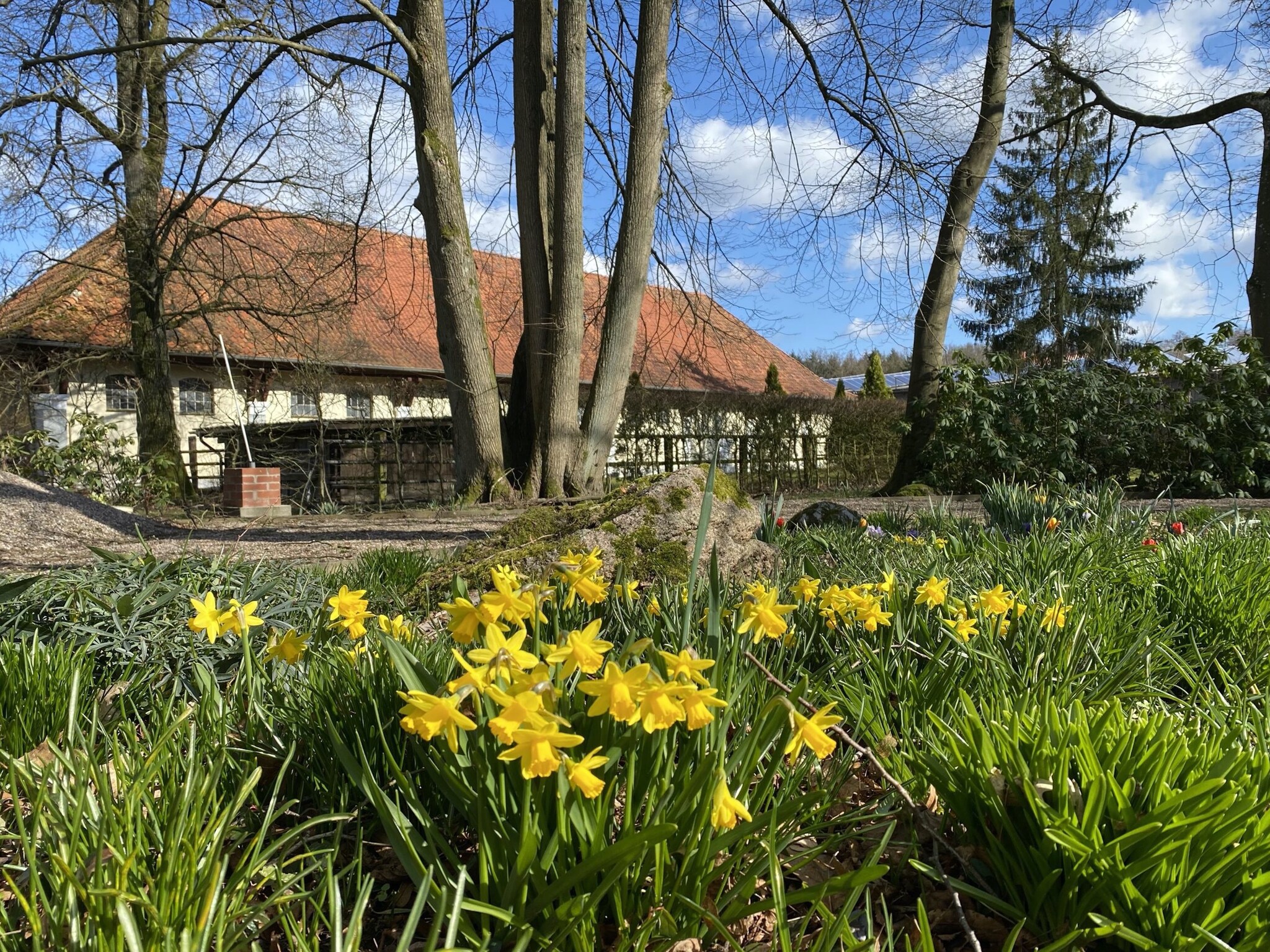   Lüneburger Heide