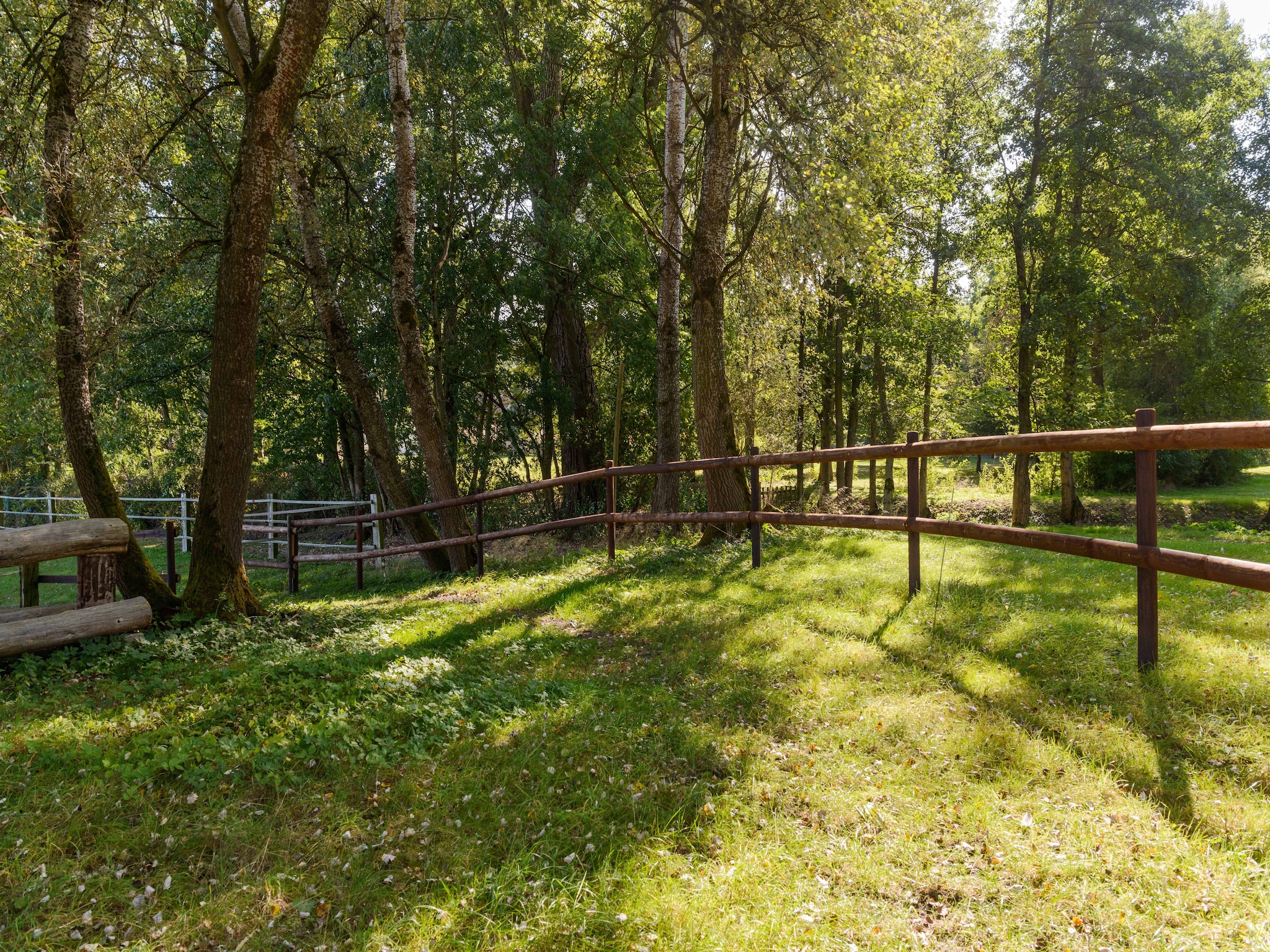   Lüneburger Heide